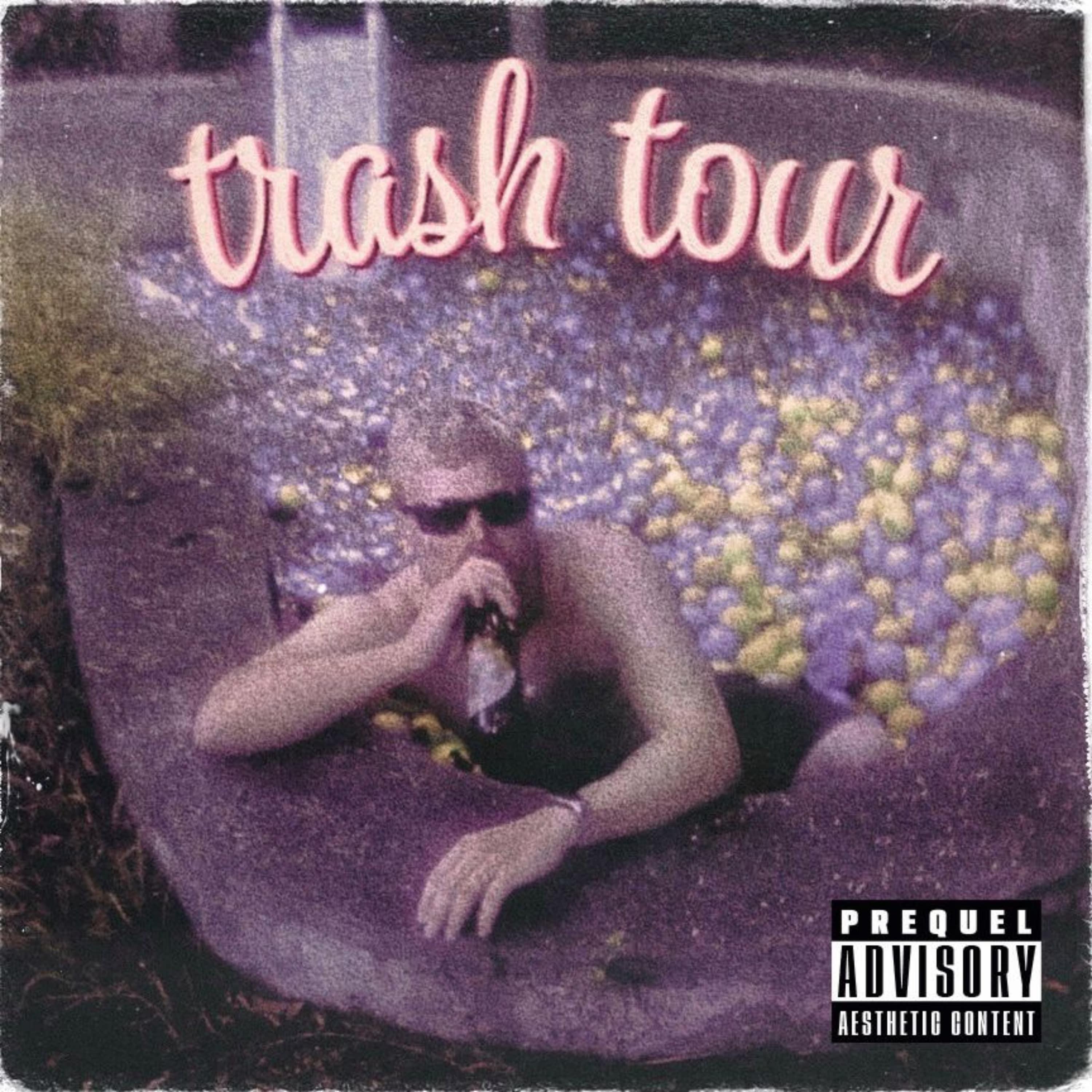 Постер альбома trash tour