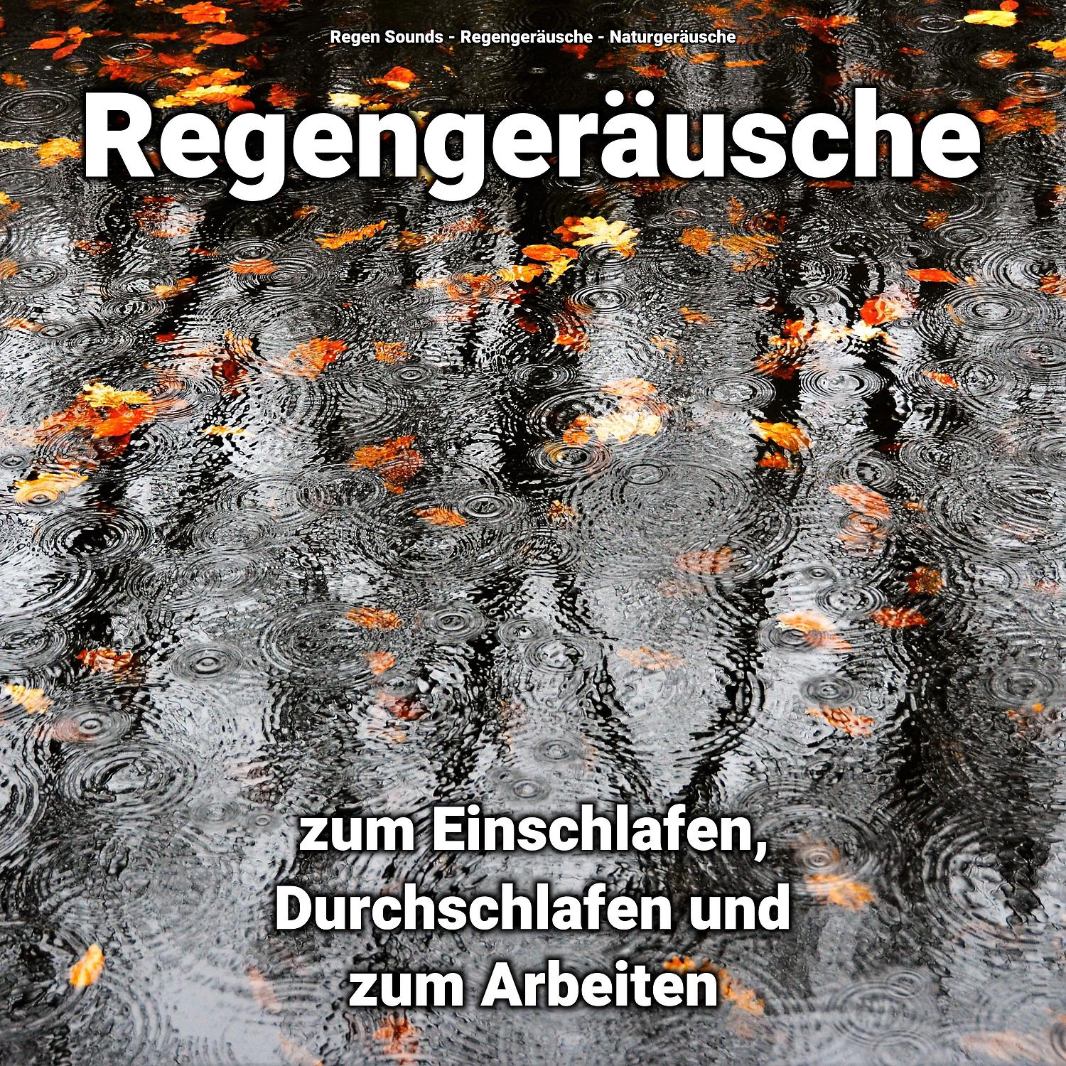 Постер альбома Regengeräusche zum Einschlafen, Durchschlafen und zum Arbeiten