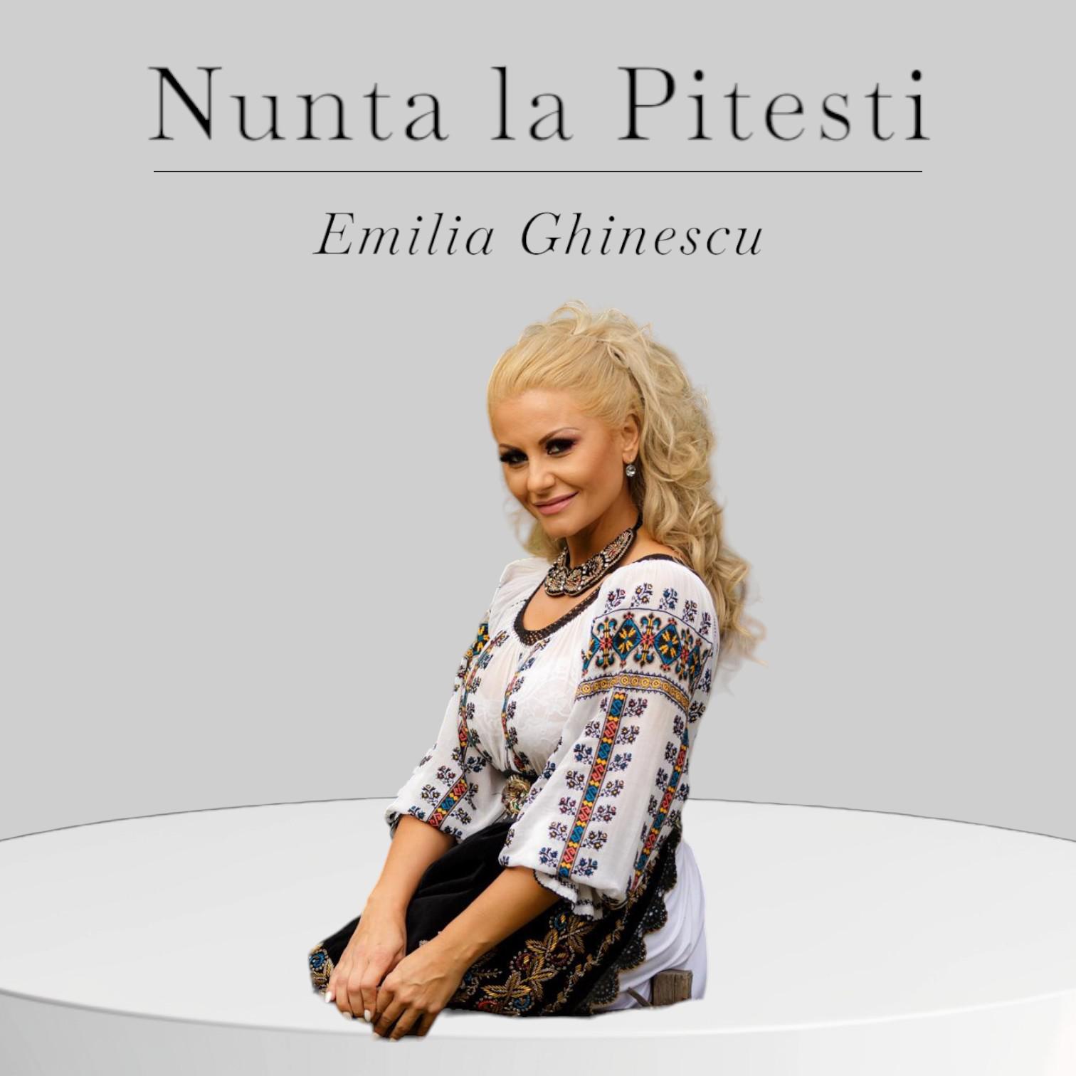 Постер альбома Nunta la Pitesti