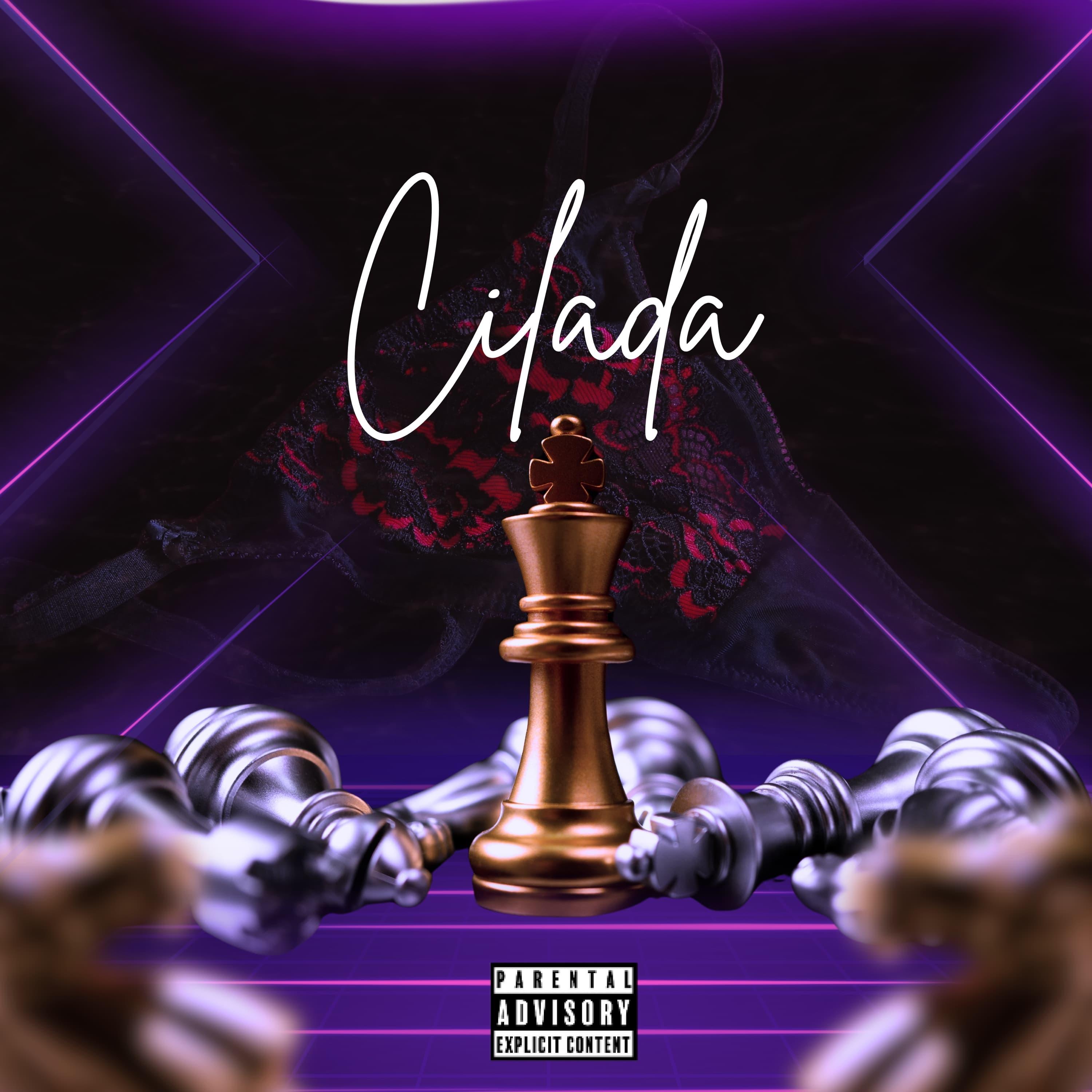 Постер альбома Cilada