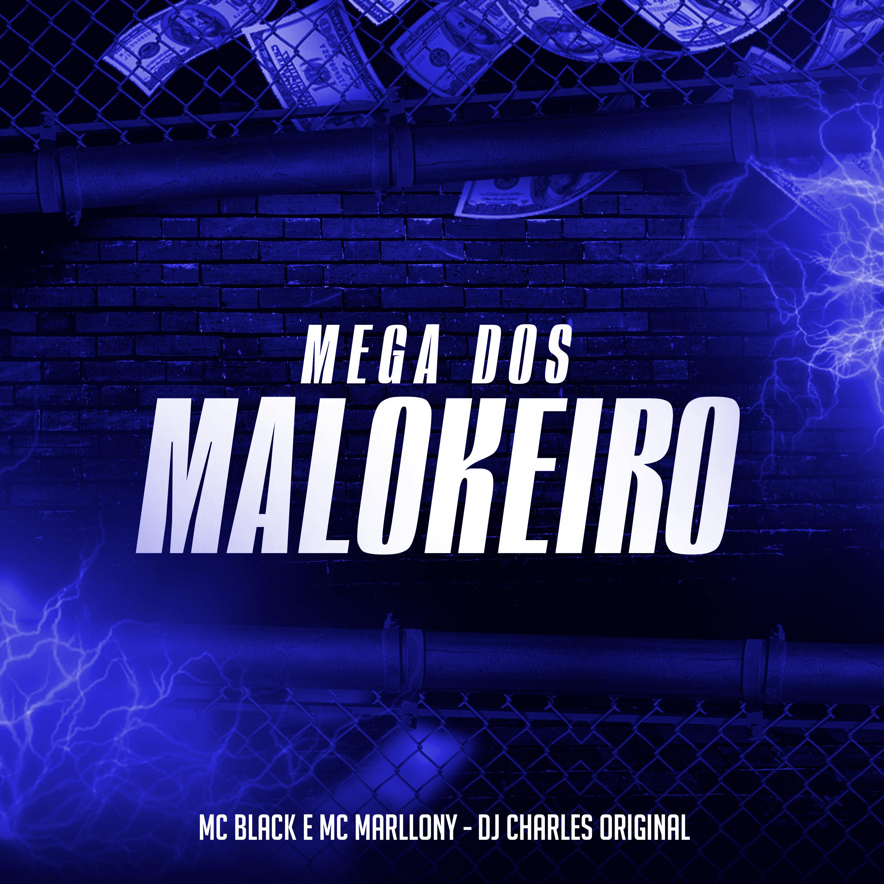 Постер альбома Mega dos Malokeiro
