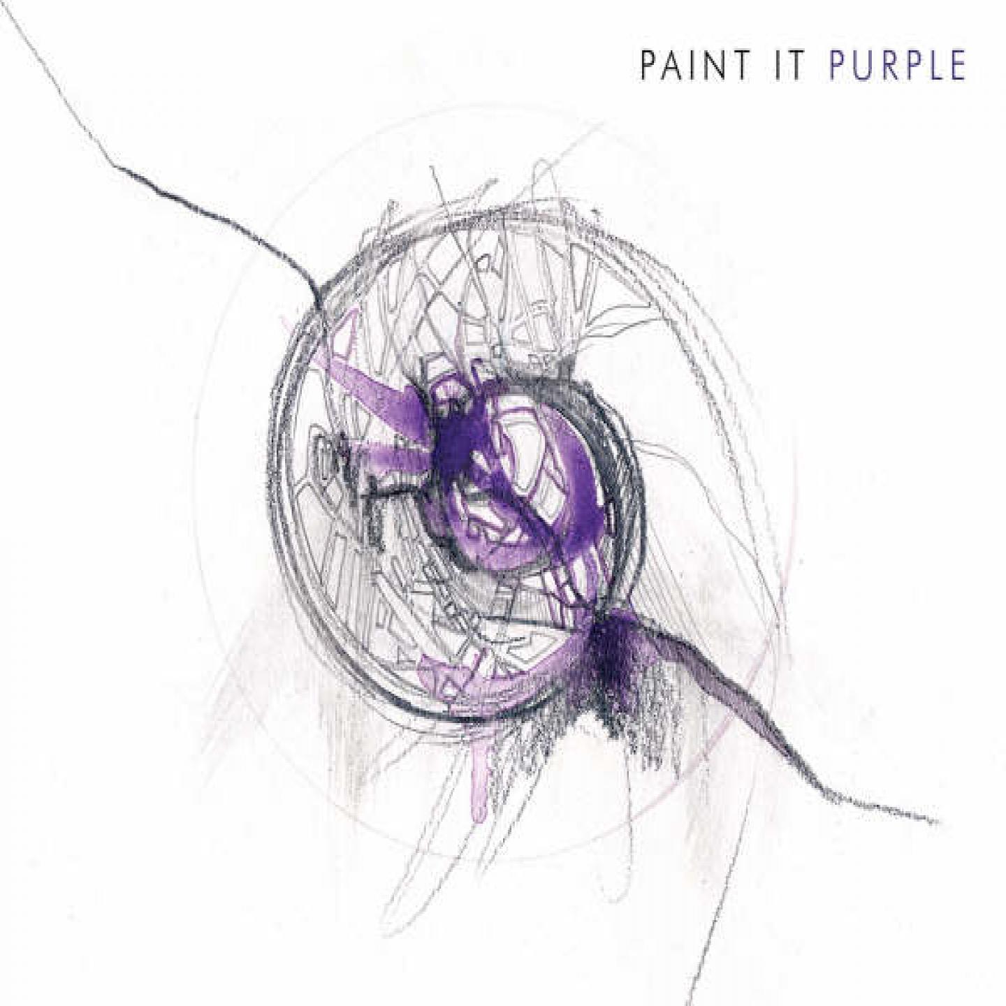 Постер альбома Paint it Purple