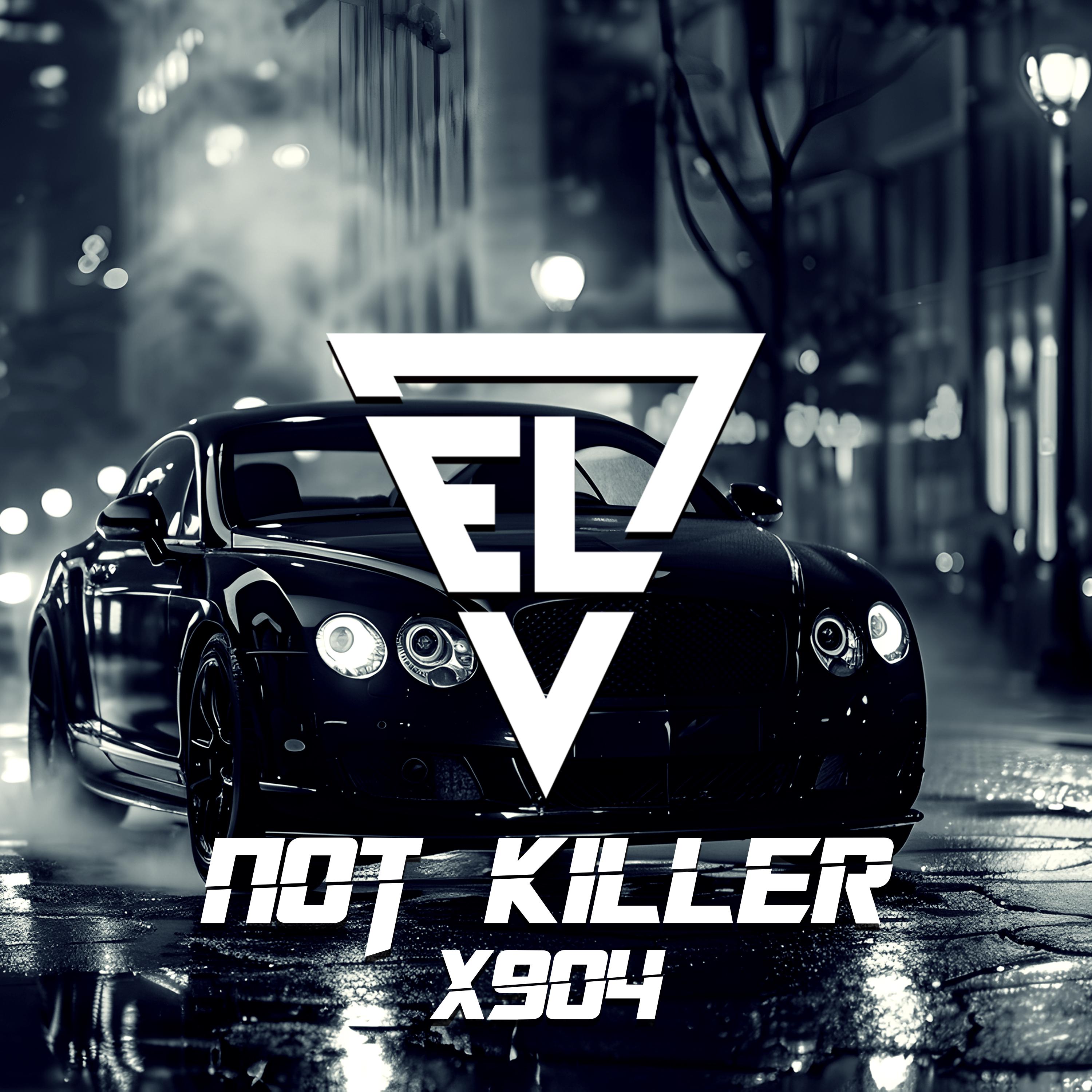 Постер альбома Not Killer