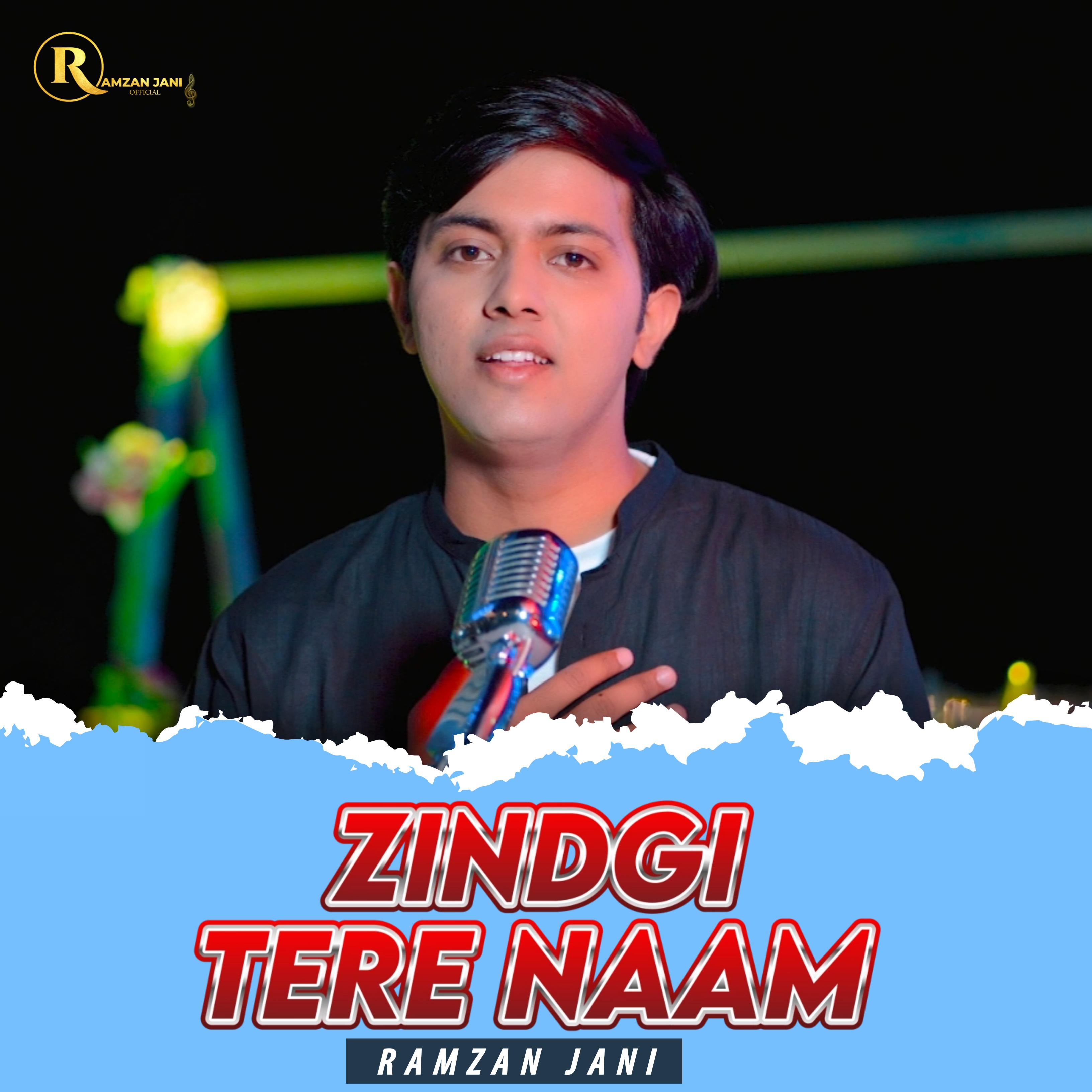 Постер альбома Zindgi Tere Naam
