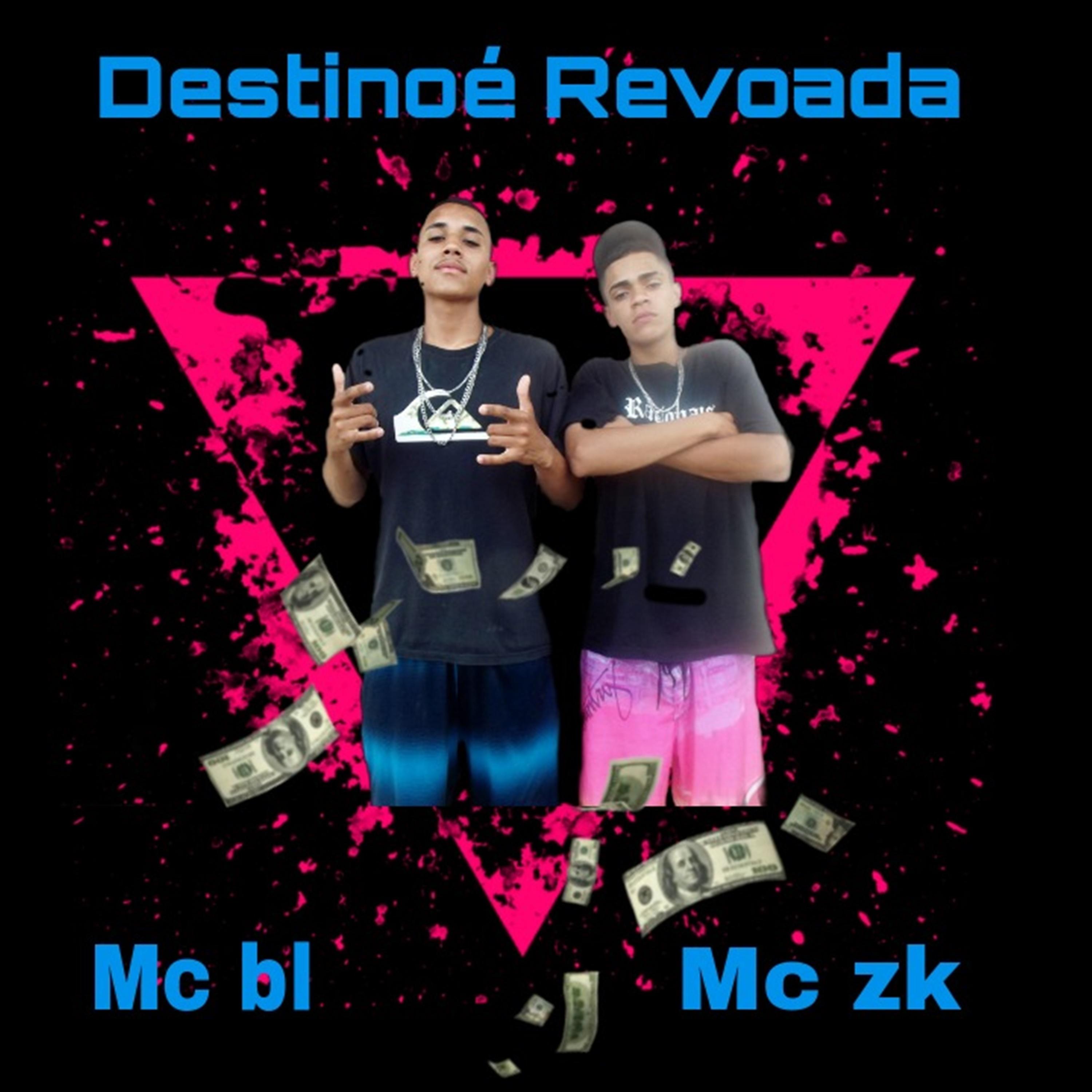 Постер альбома Destino É Revoada
