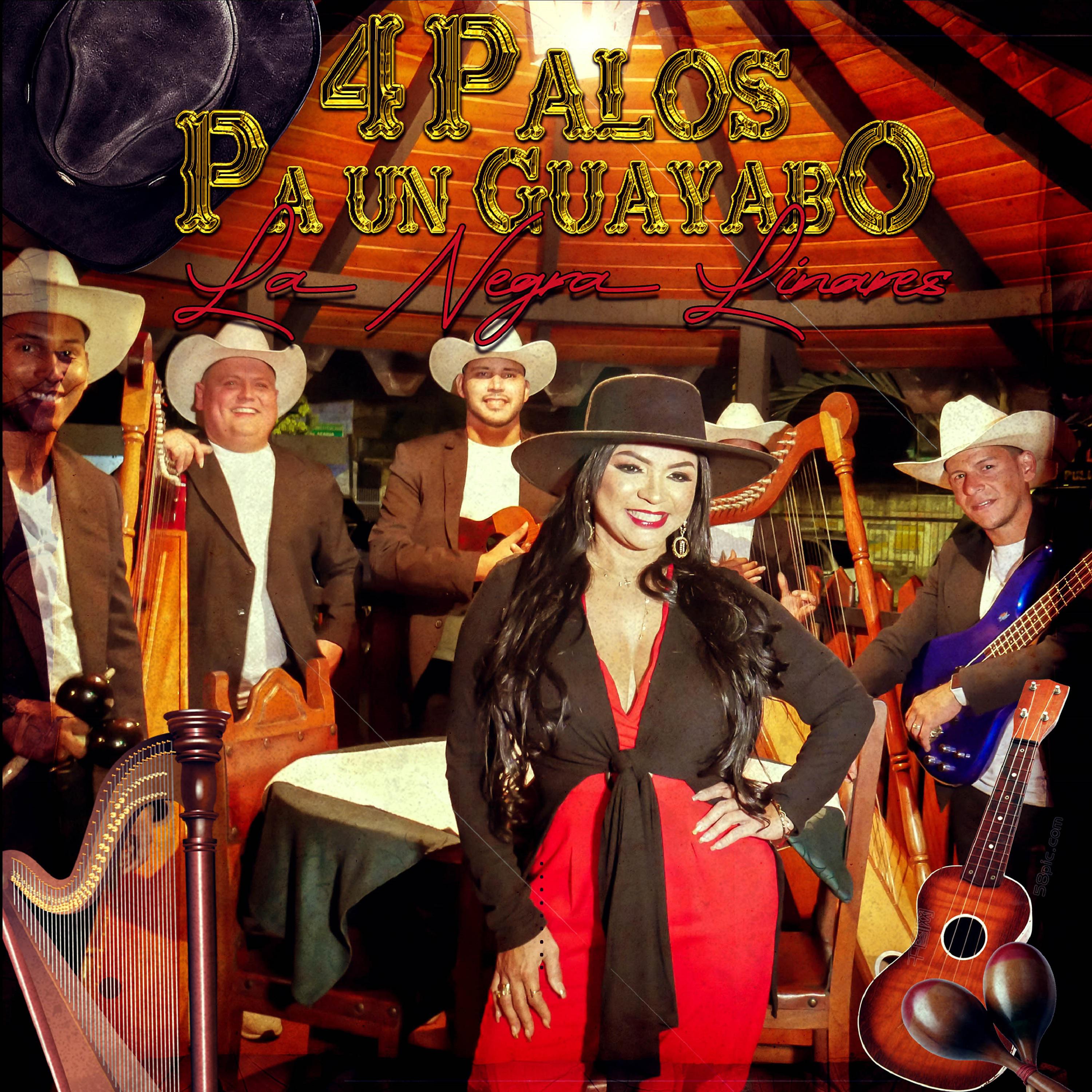 Постер альбома 4 Palos pa un Guayabo