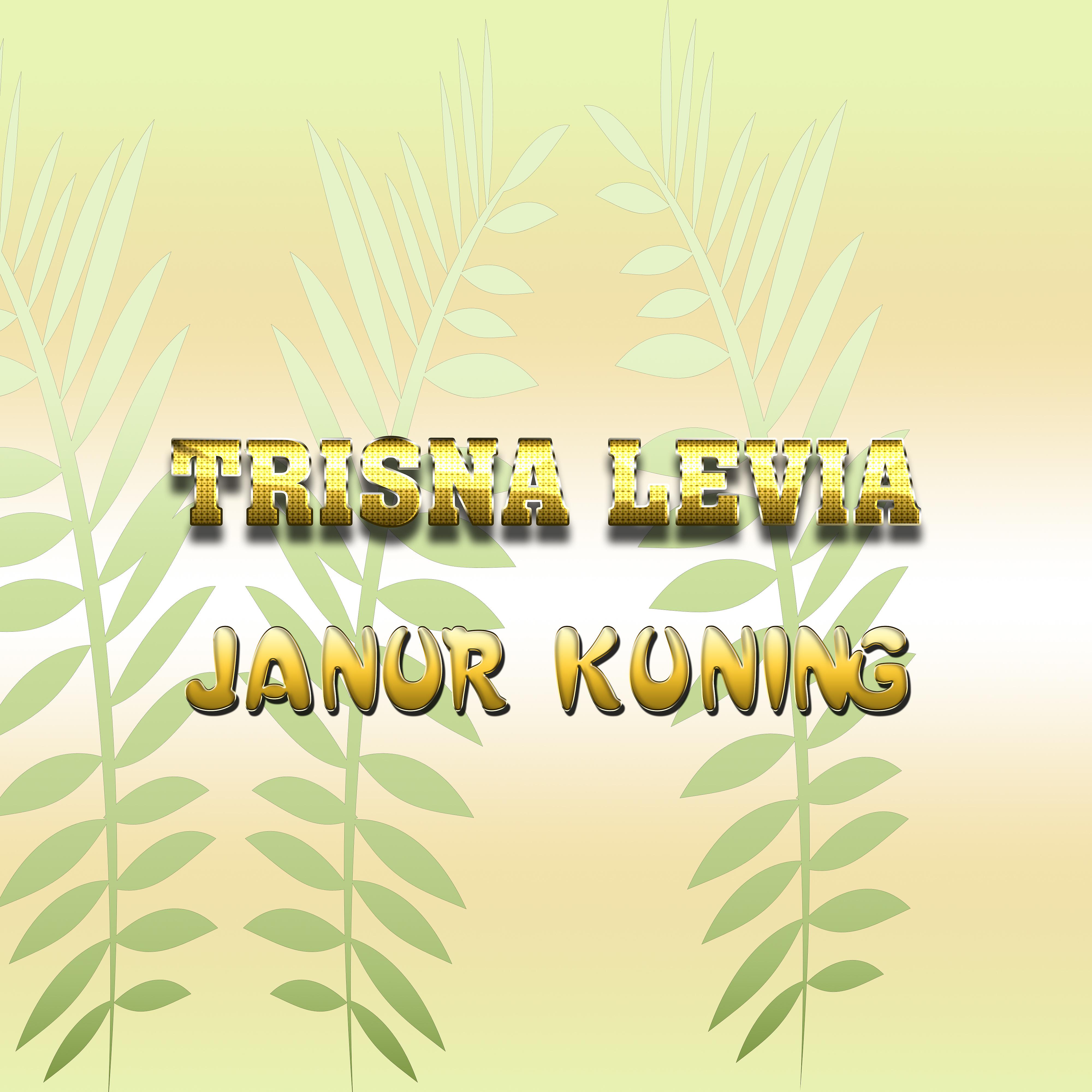 Постер альбома Janur Kuning