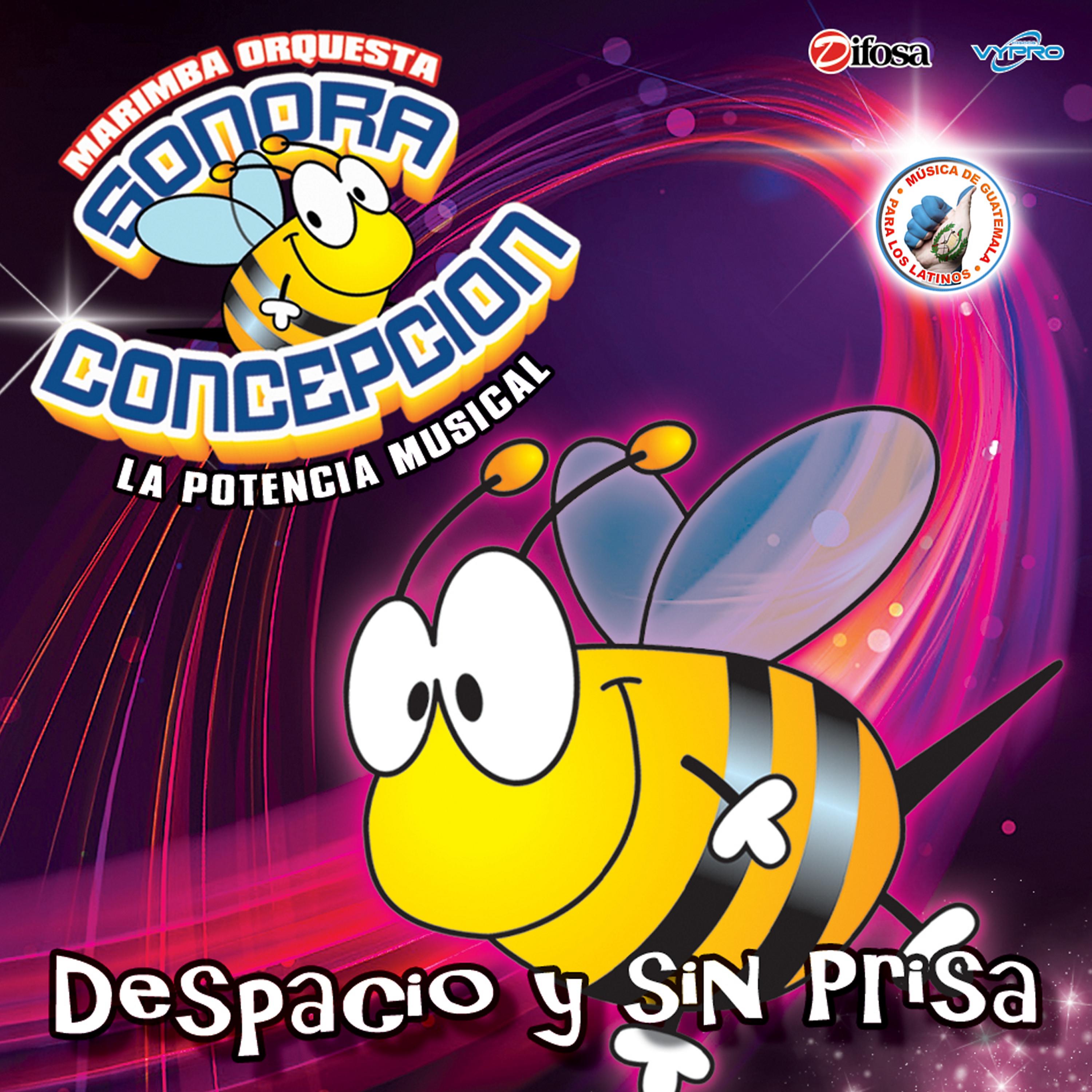 Постер альбома Despacio y Sin Prisa. Música de Guatemala para los Latinos