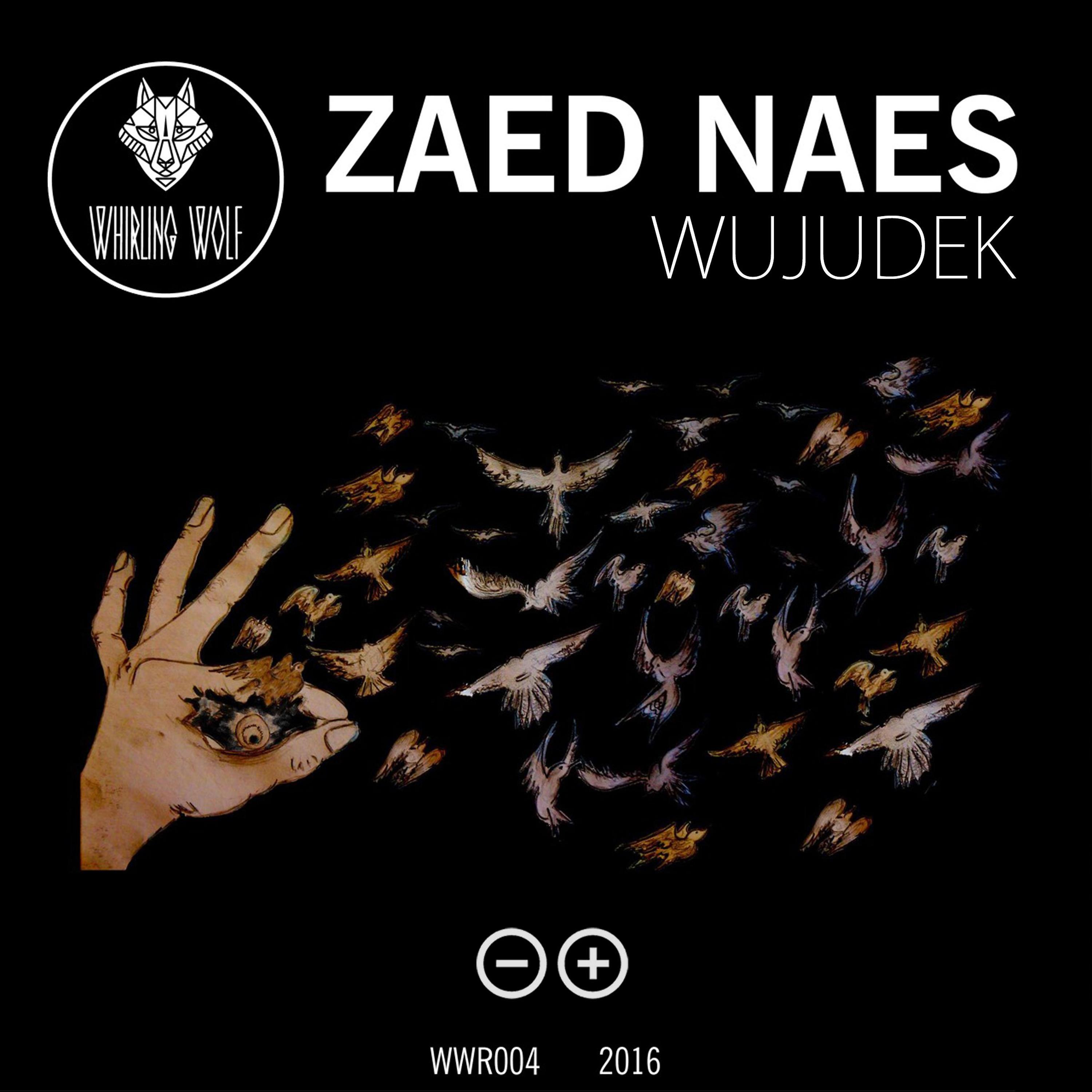 Постер альбома Wujudek