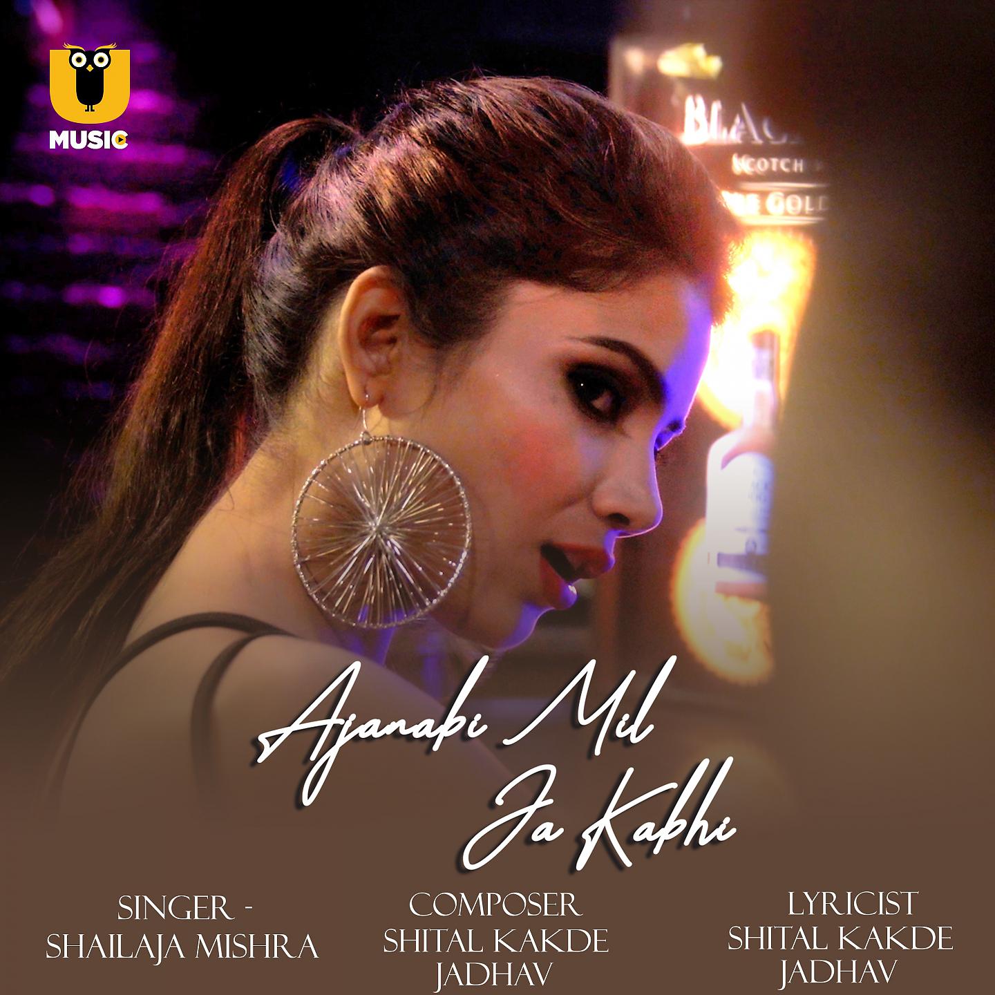 Постер альбома Ajnabi Mil Ja Kabhi