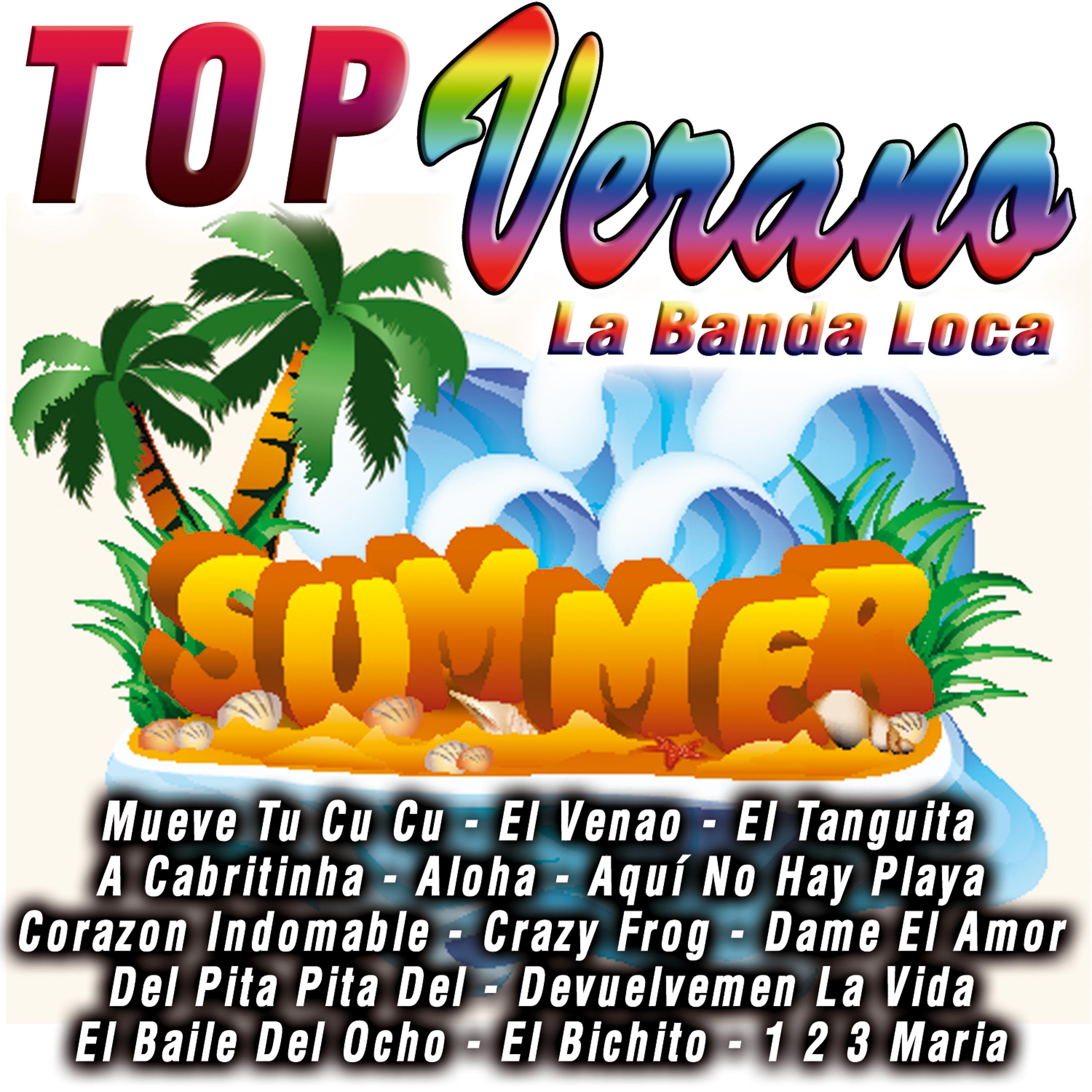Постер альбома Top Verano