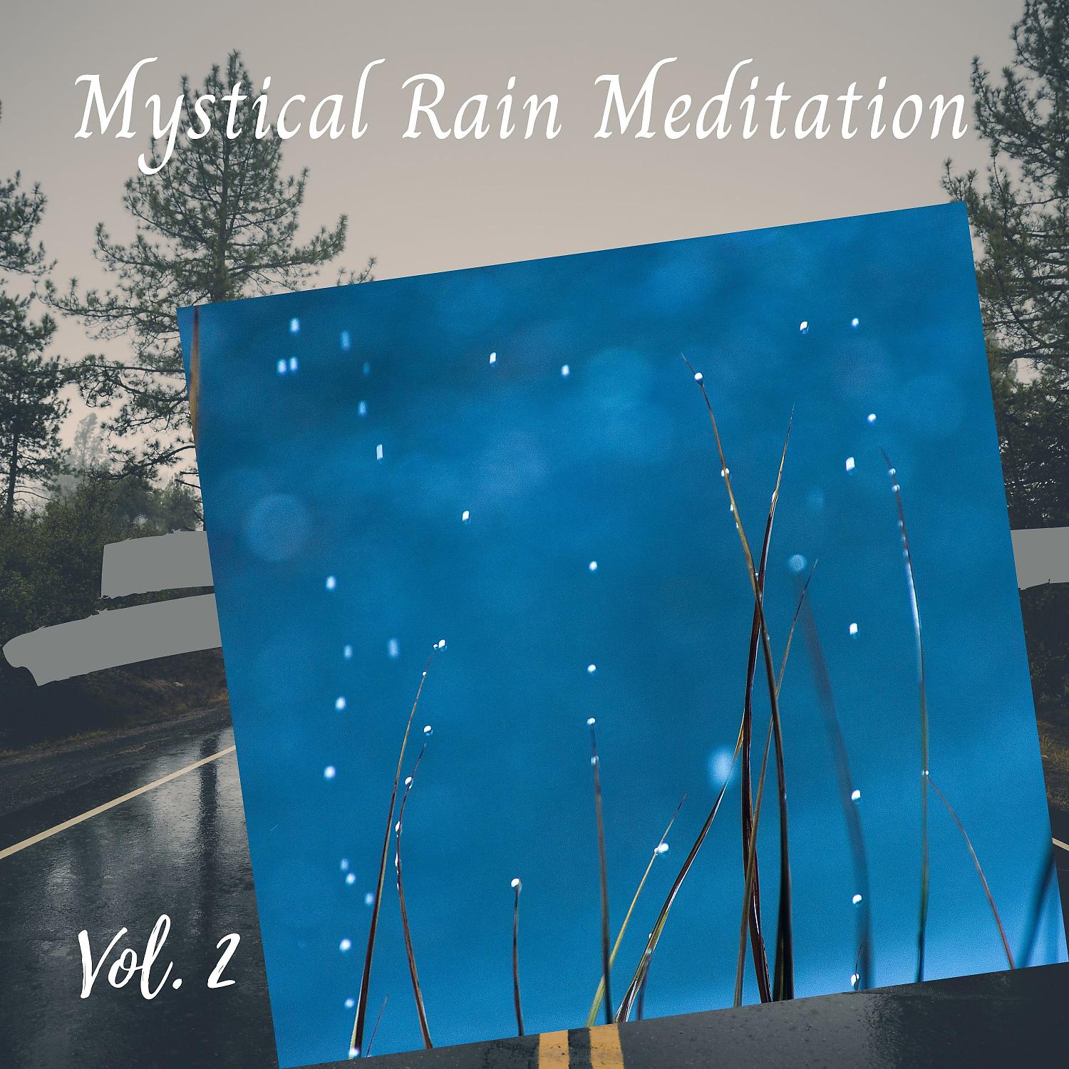 Постер альбома Mystical Rain Meditation Vol. 2