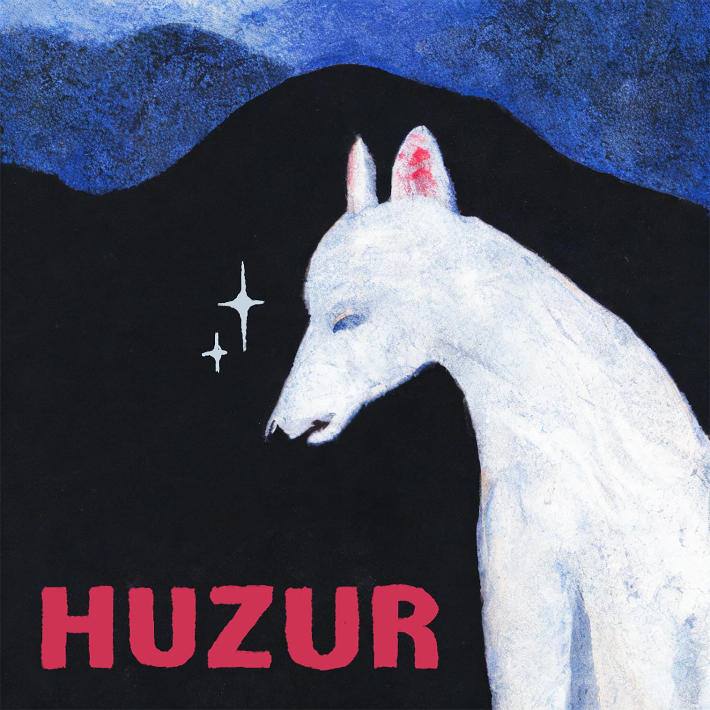 Постер альбома huzur