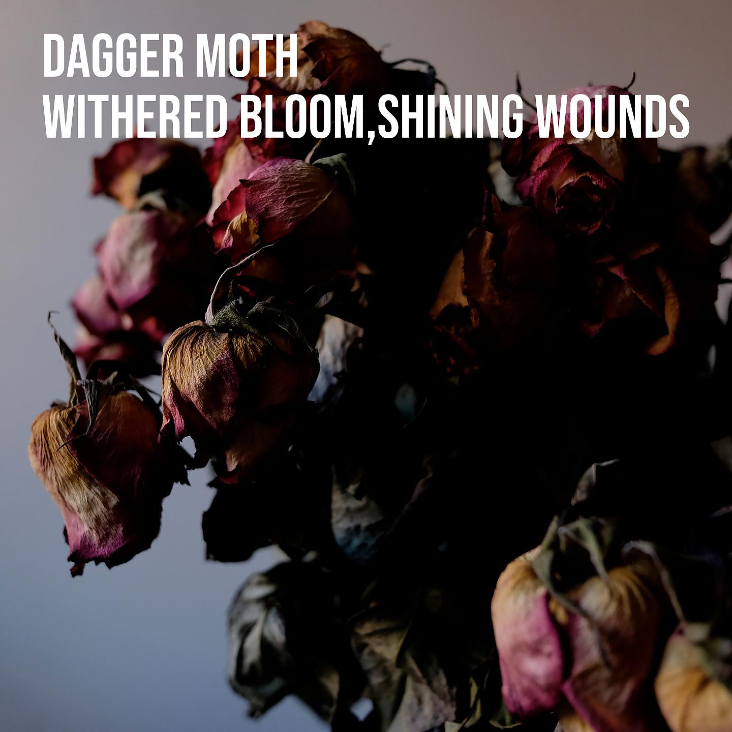 Постер альбома Withered bloom, shining wounds