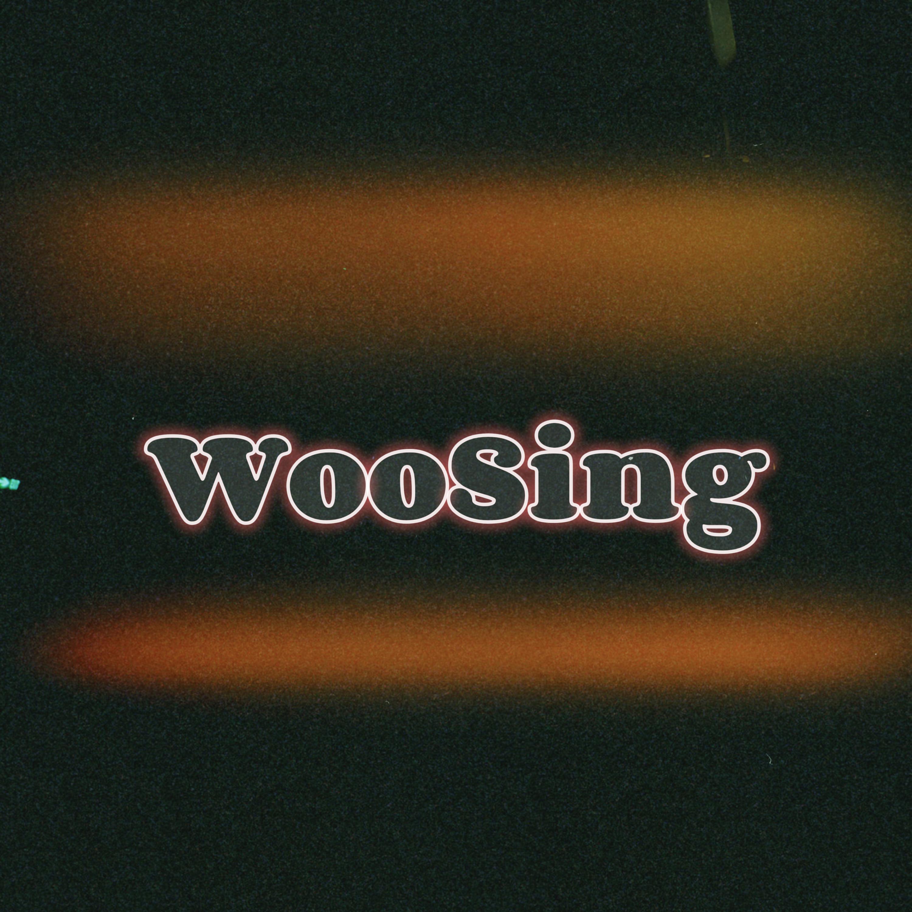 Постер альбома WooSing