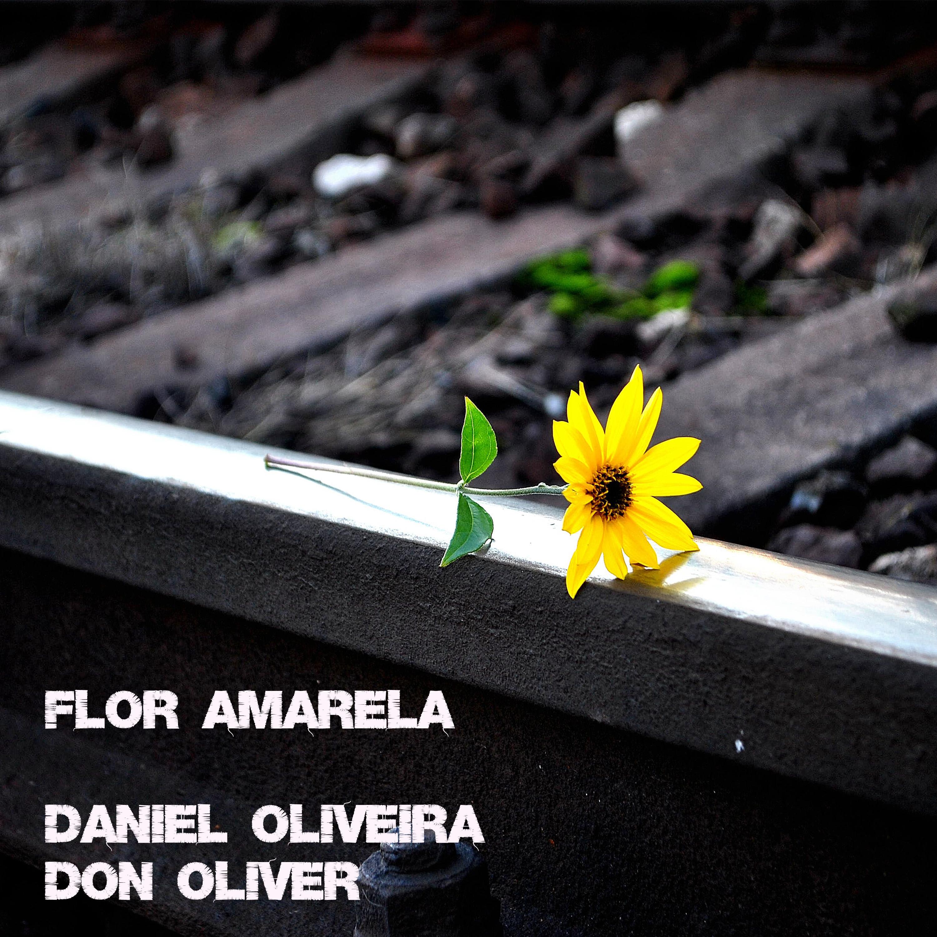 Постер альбома Flor Amarela Reggae