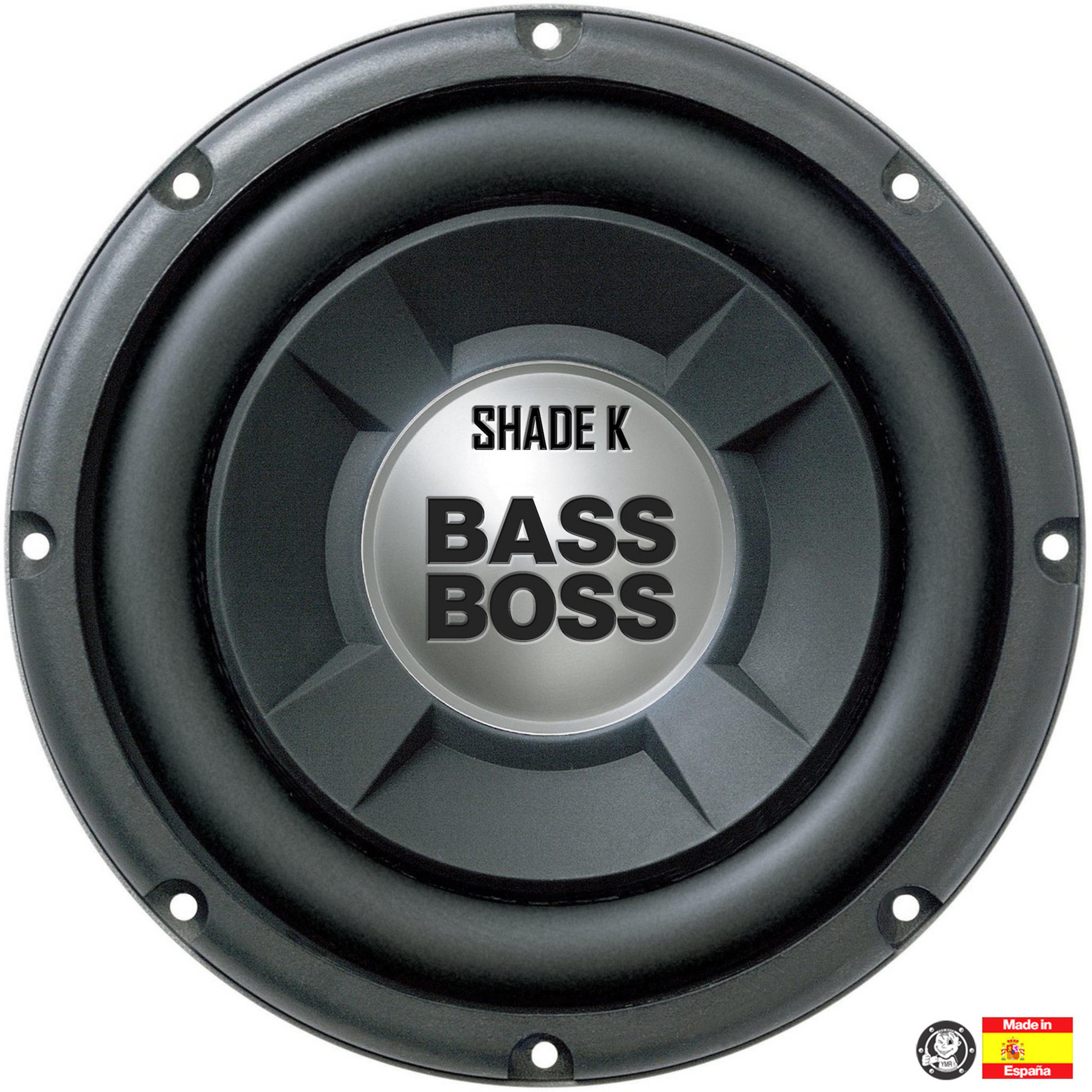 Постер альбома Bass Boss
