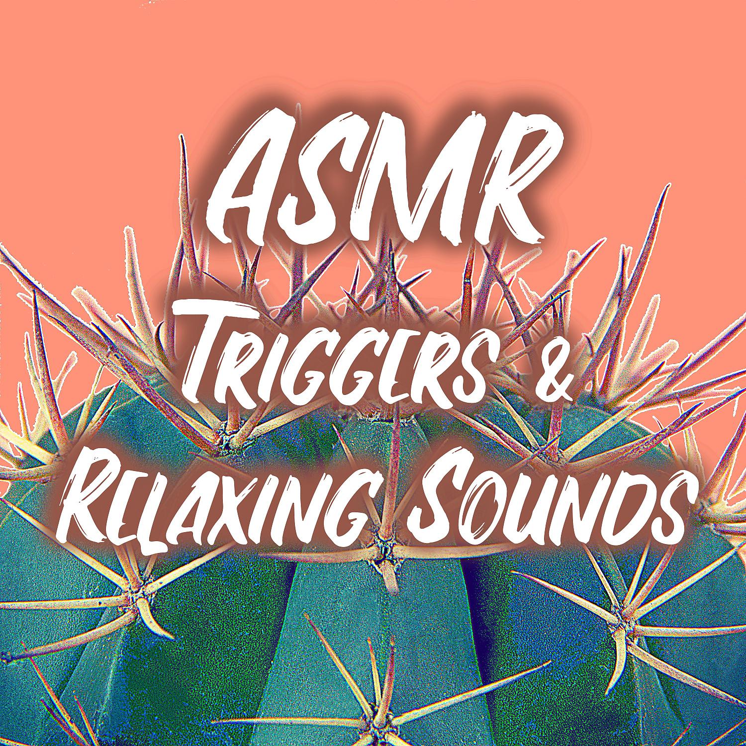 Постер альбома ASMR Triggers and Relaxing Sounds