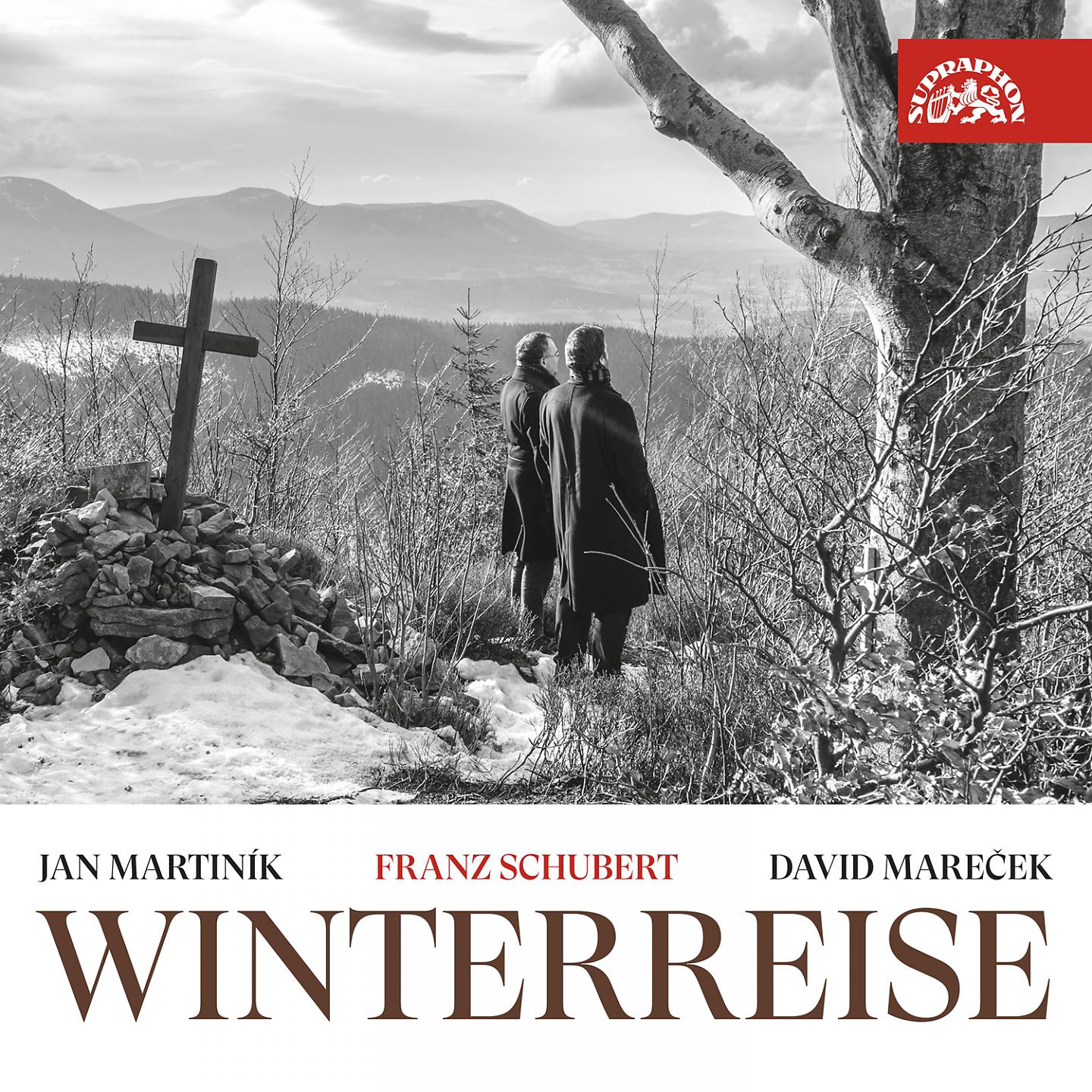 Постер альбома Winterreise