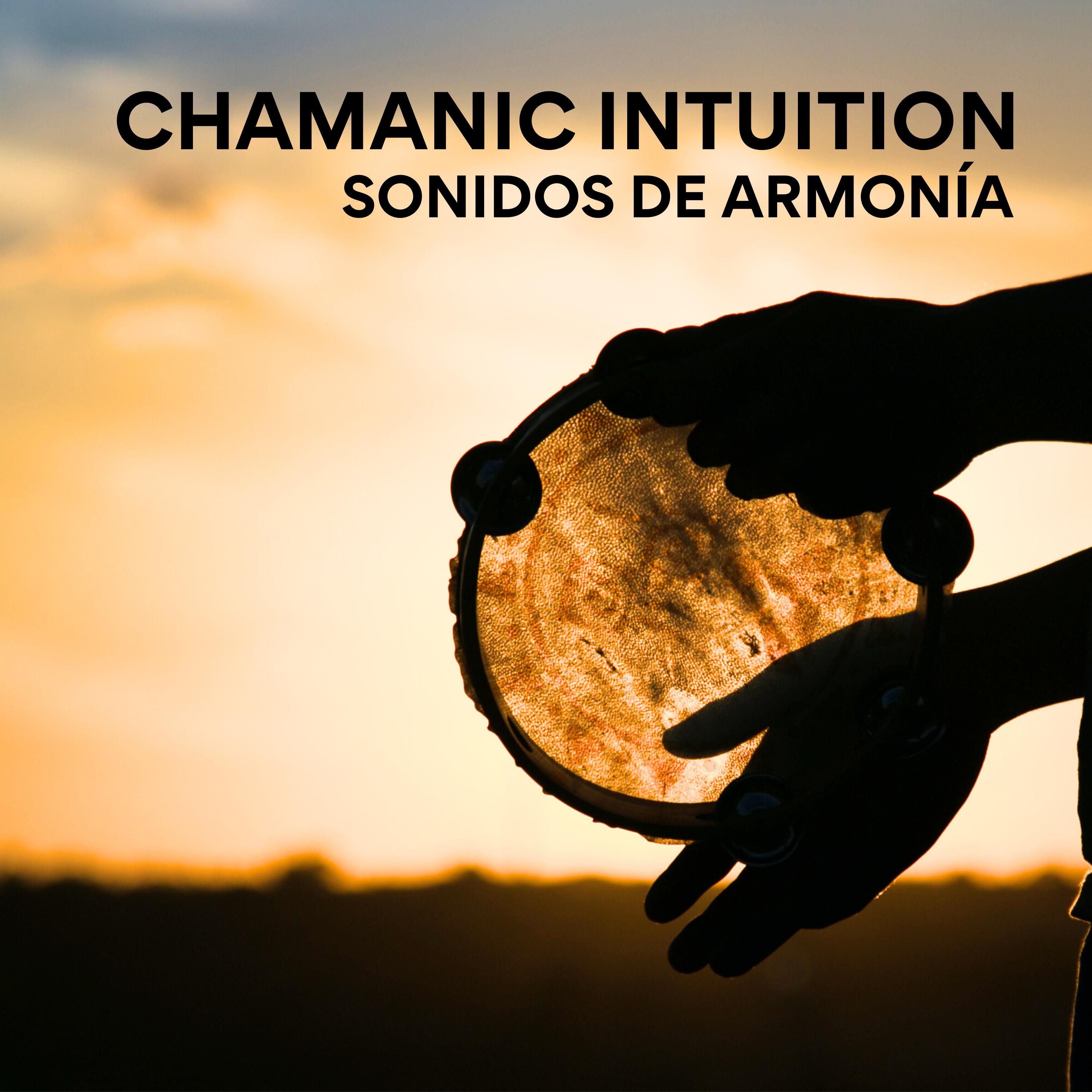 Постер альбома Chamanic Intuition