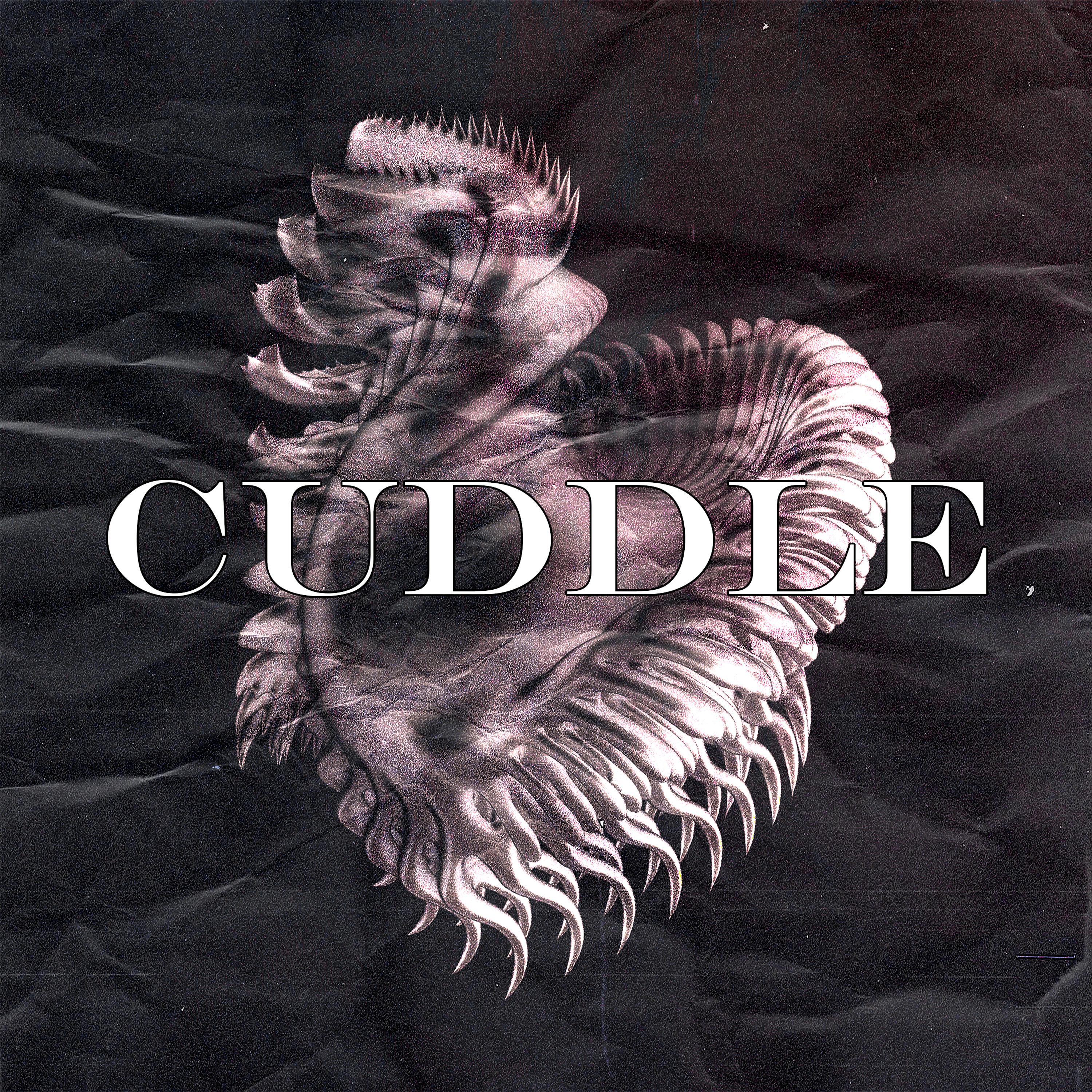Постер альбома Cuddle