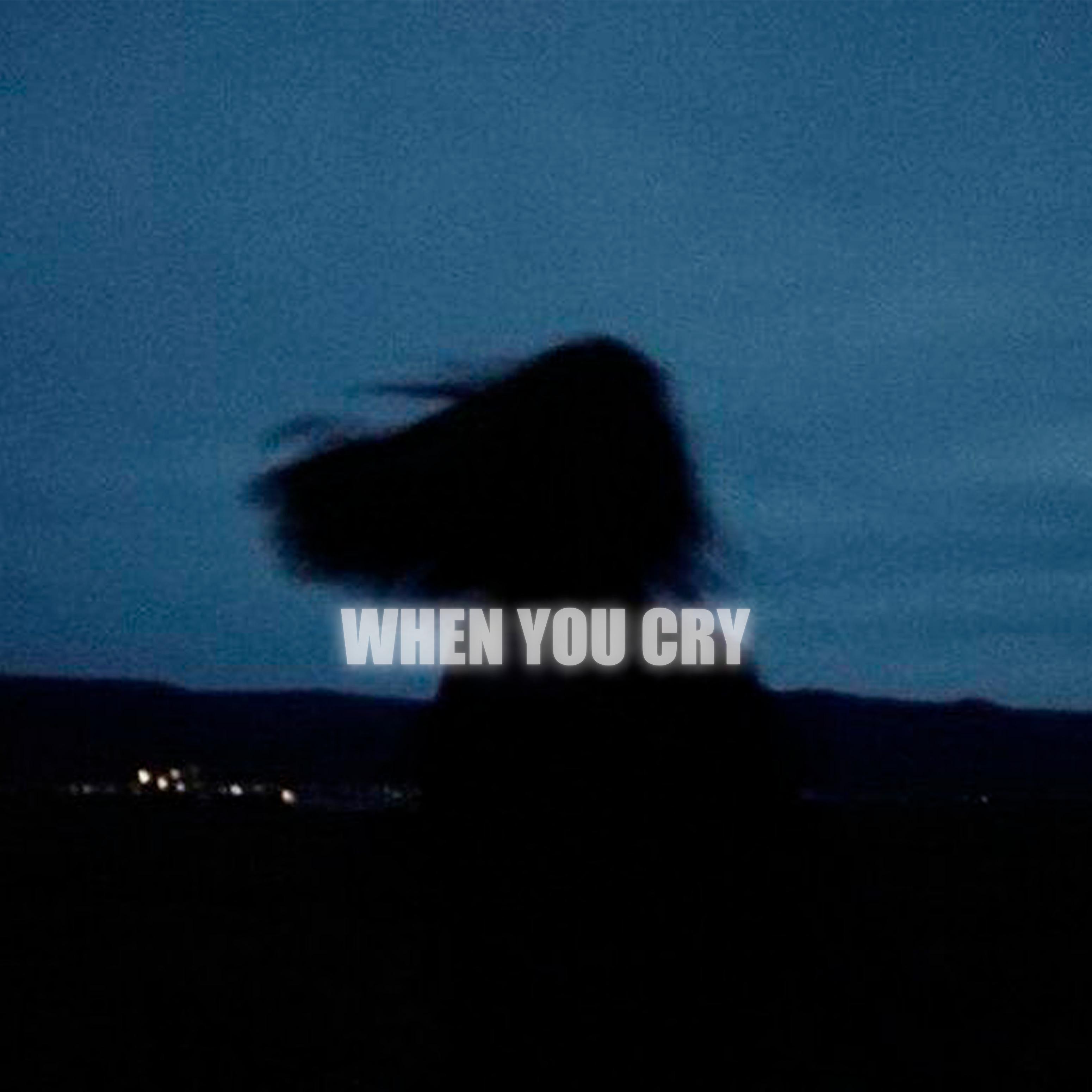 Постер альбома WHEN YOU CRY