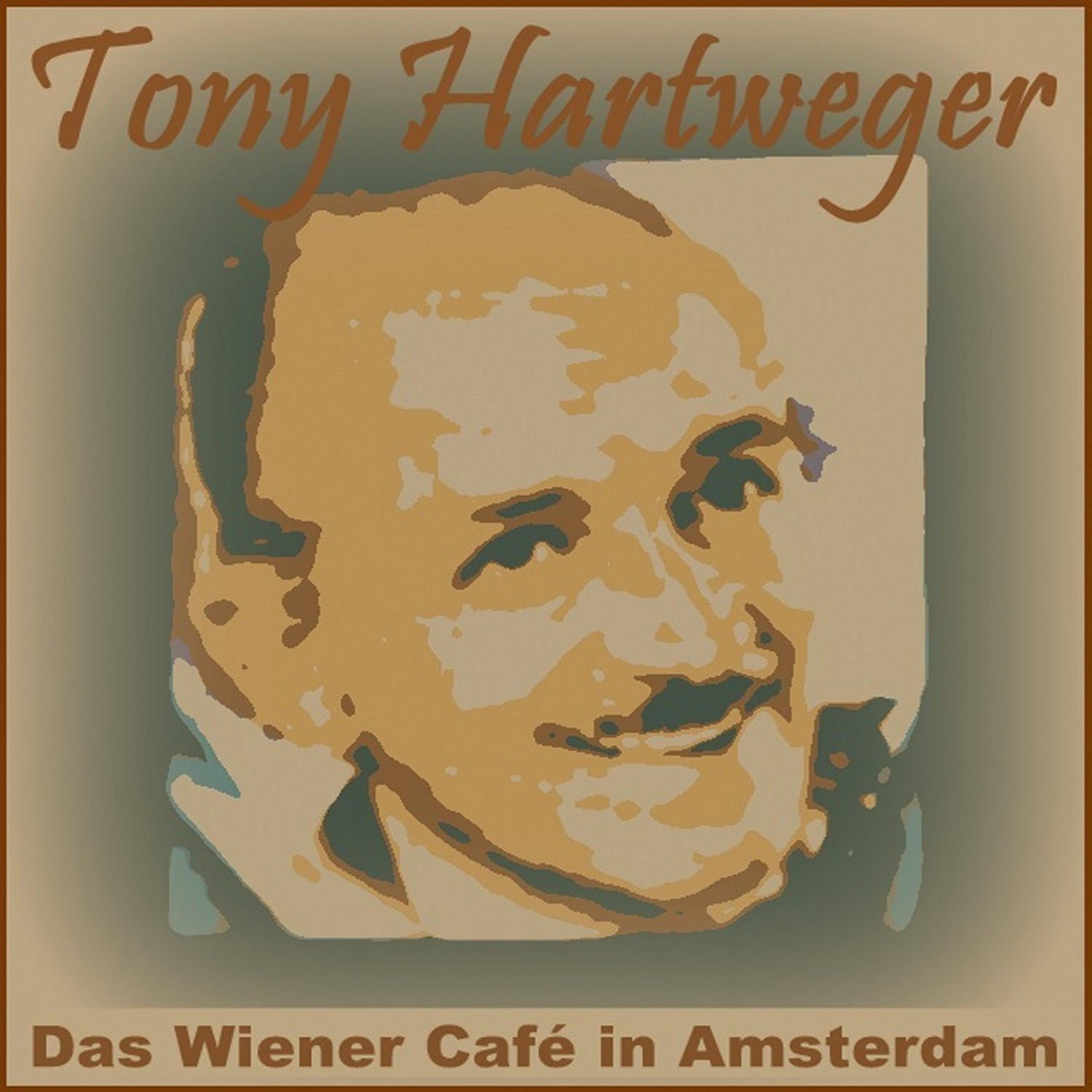 Постер альбома Das Wiener Café in Amsterdam