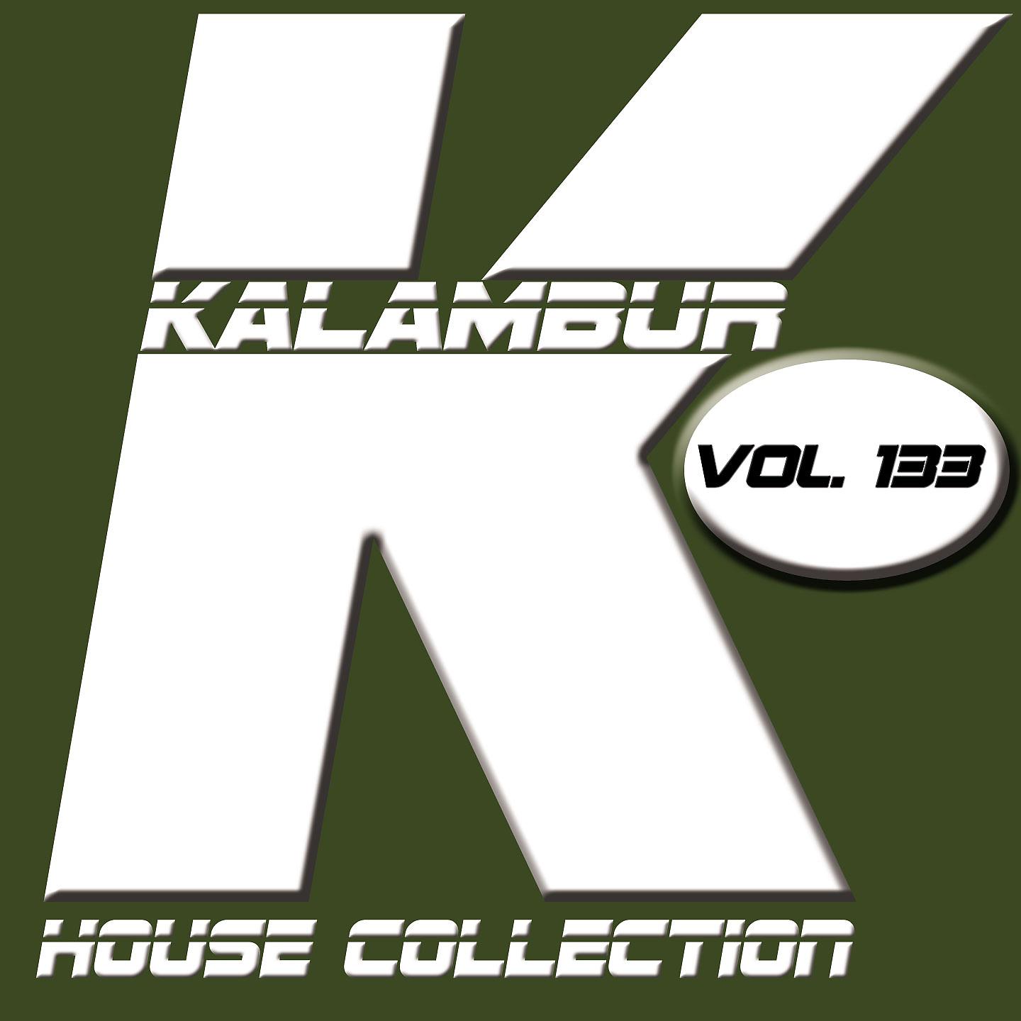 Постер альбома KALAMBUR HOUSE COLLECTION VOL 133