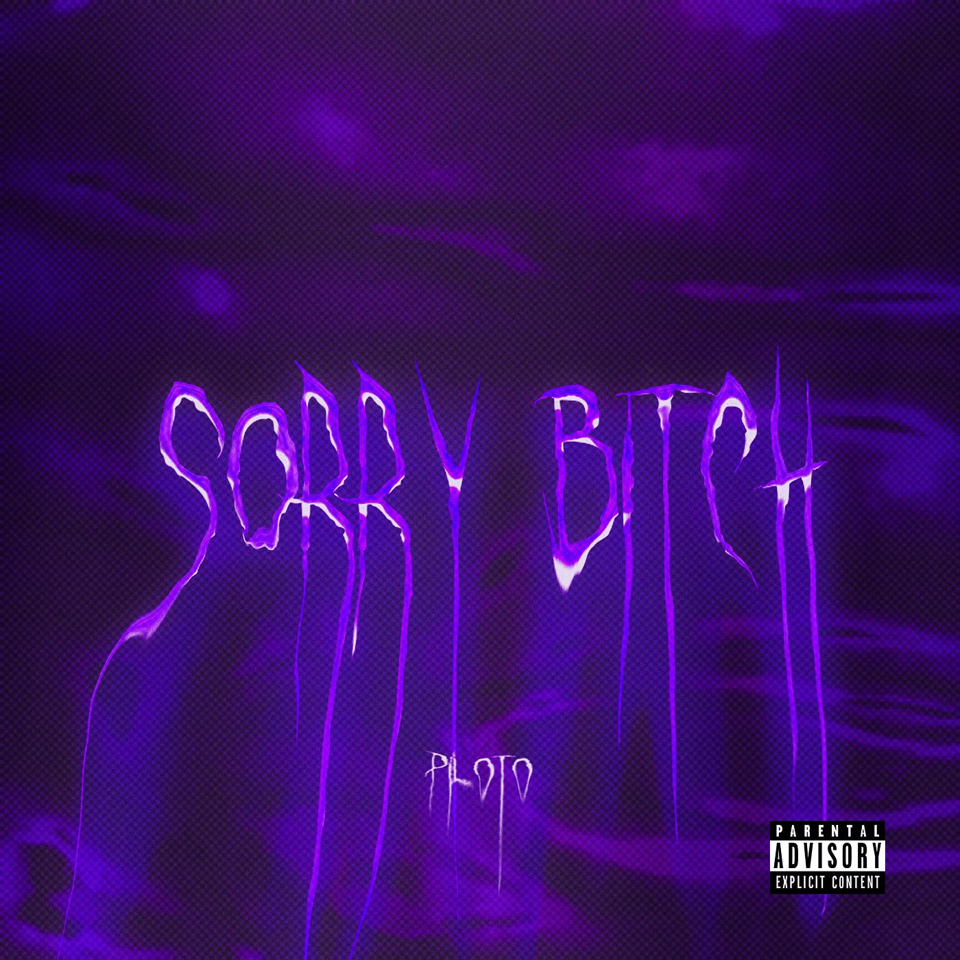 Постер альбома Sorry Bitch
