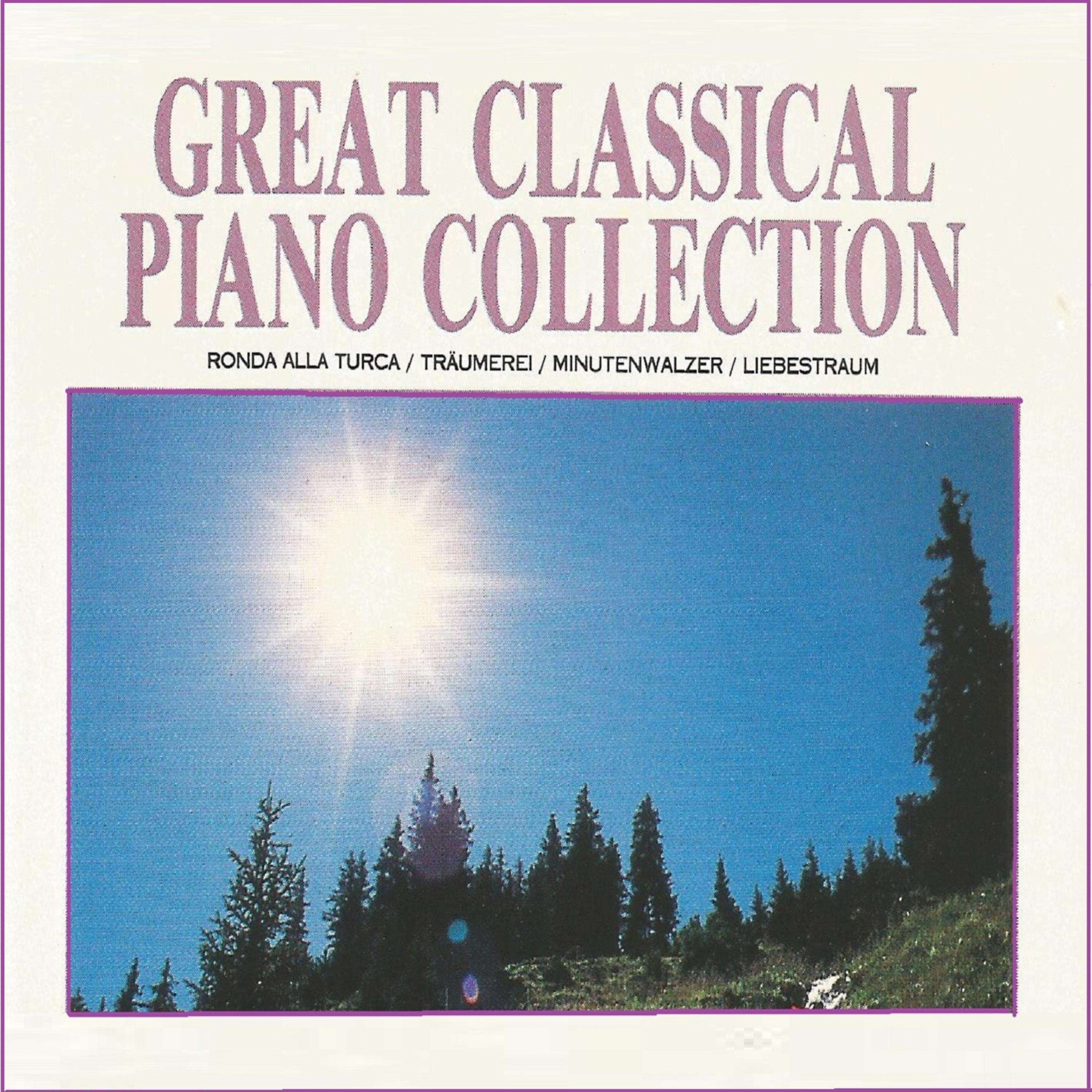 Постер альбома Great Classical Piano Collection