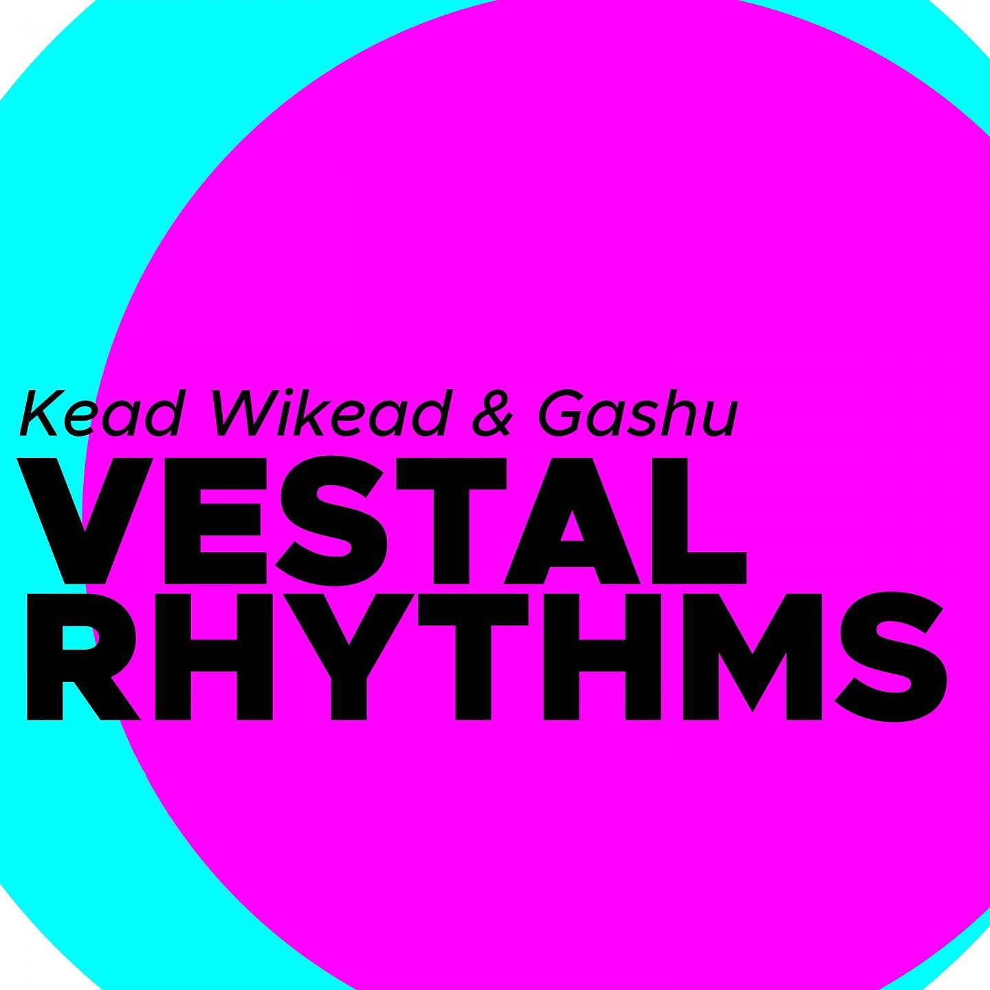 Постер альбома Vestal Rhythms