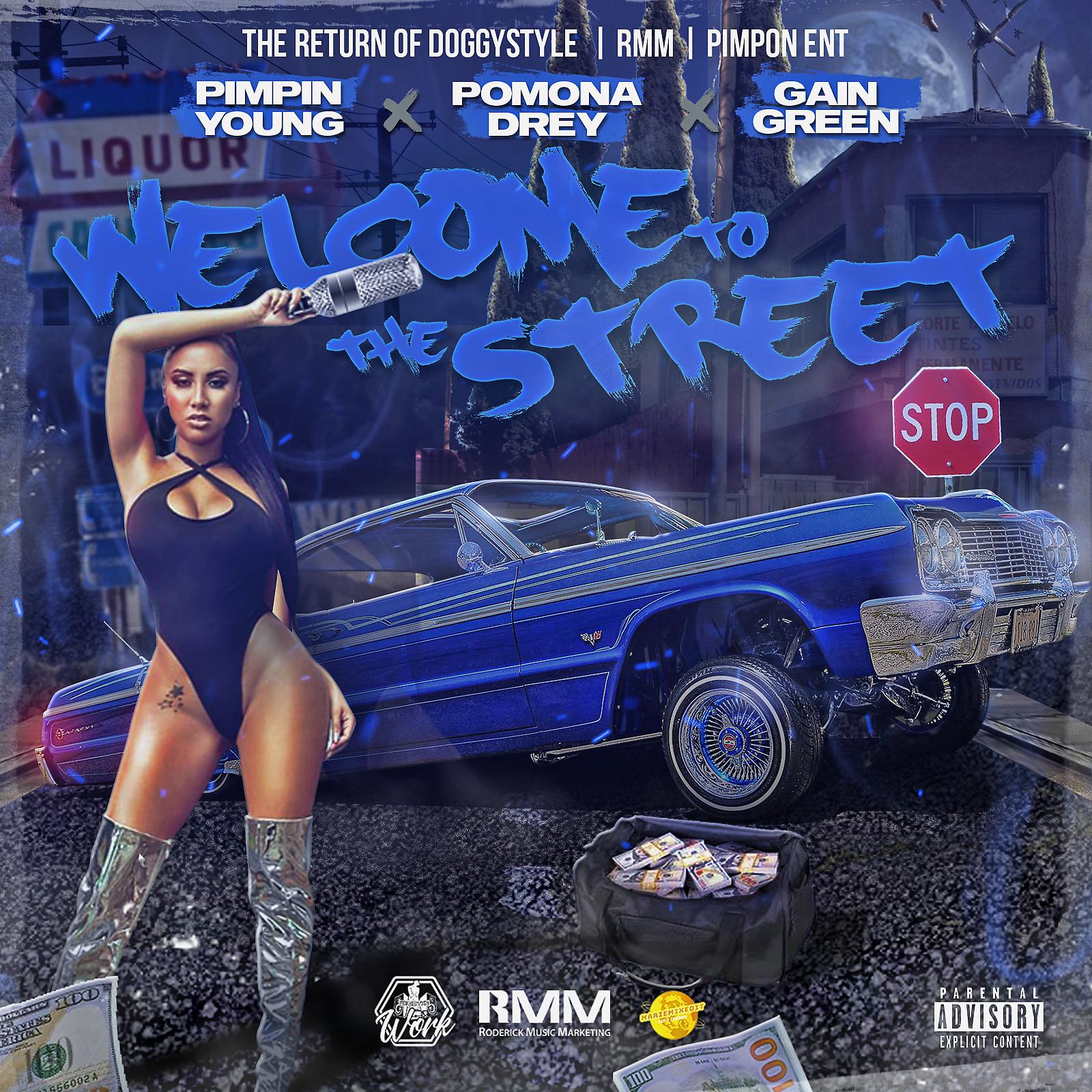 Постер альбома Welcome To The Street (feat. Pomona Drey & Gain Green)