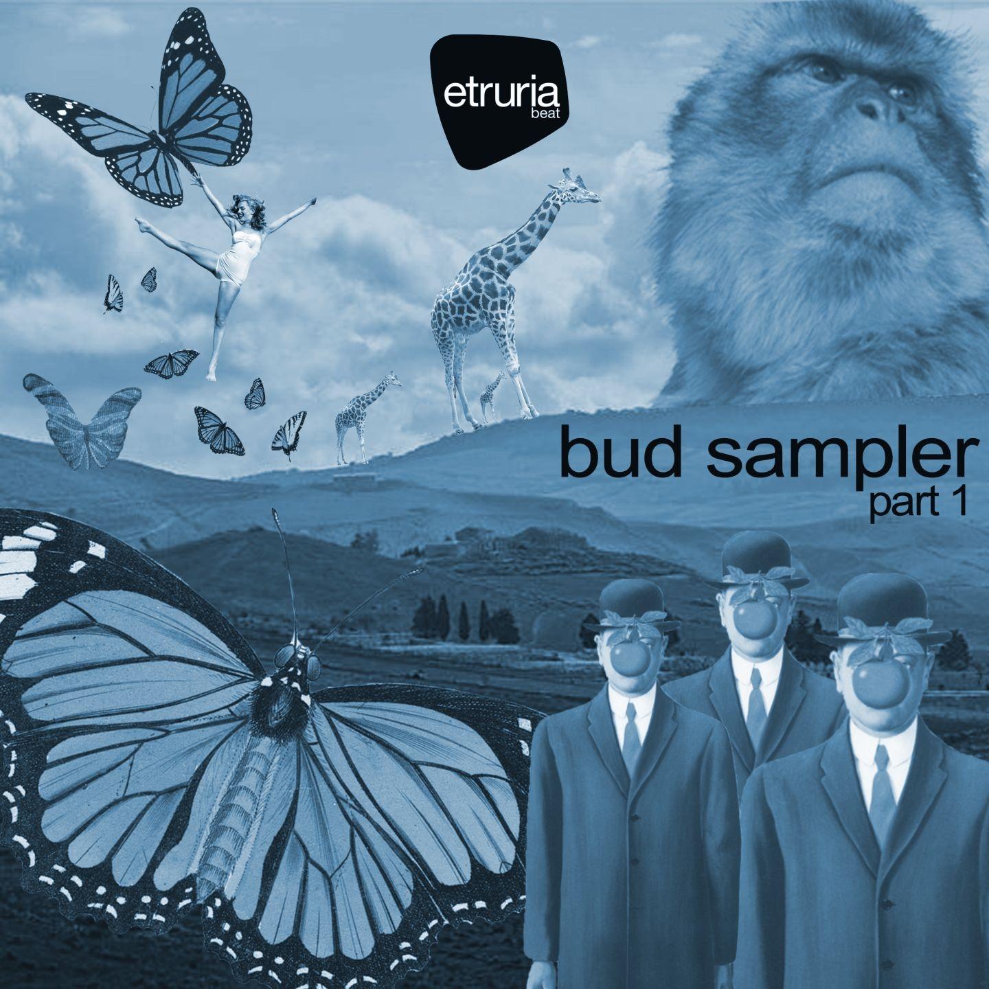 Постер альбома Bud Sampler, Pt. 1