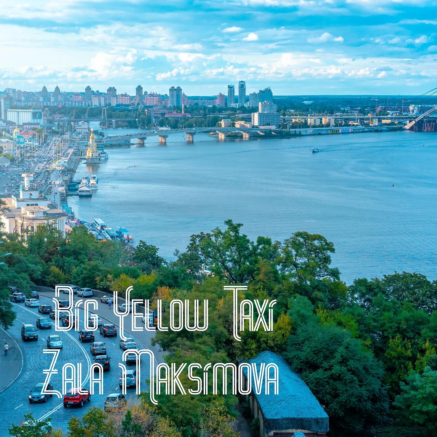 Постер альбома Big Yellow Taxi