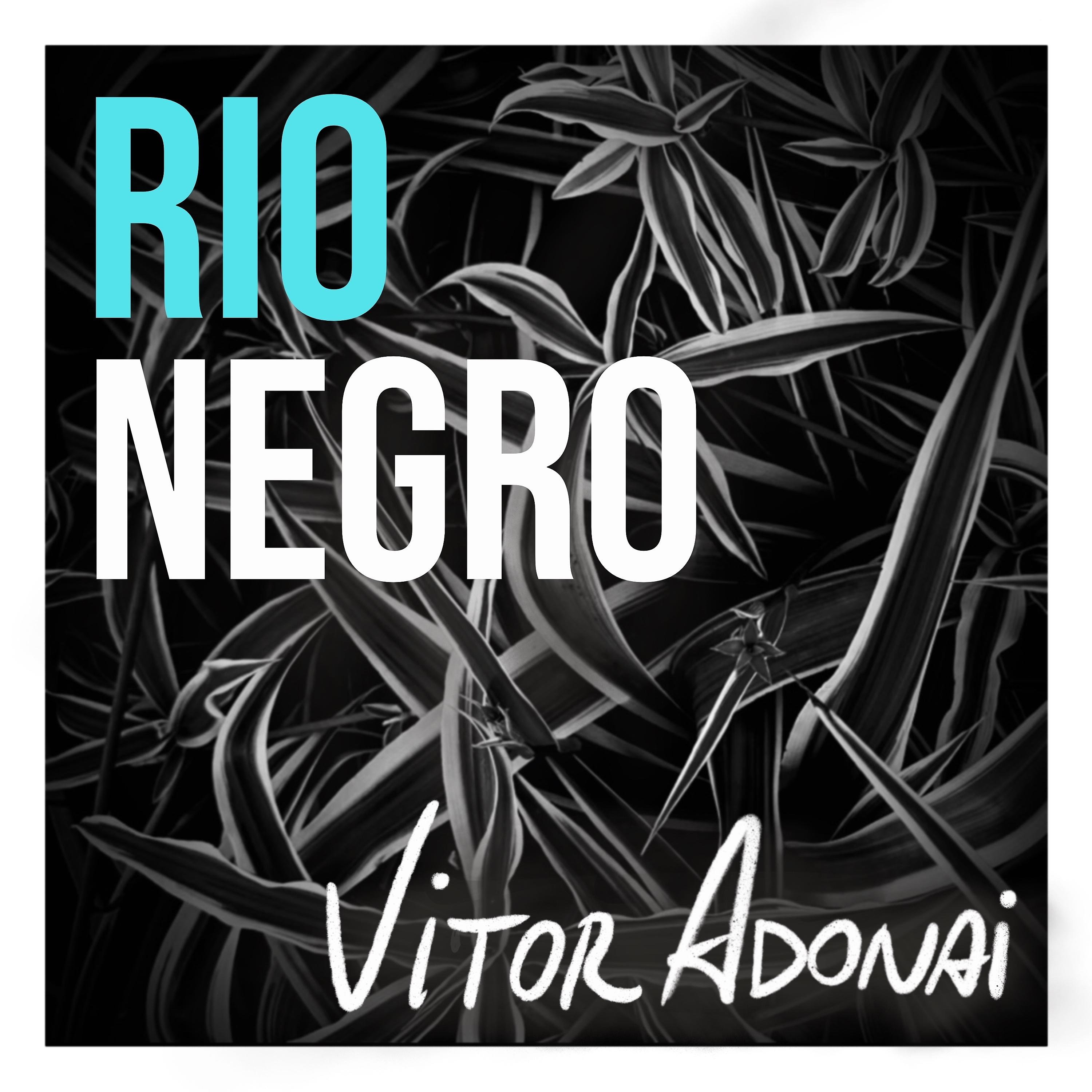 Постер альбома Rio Negro