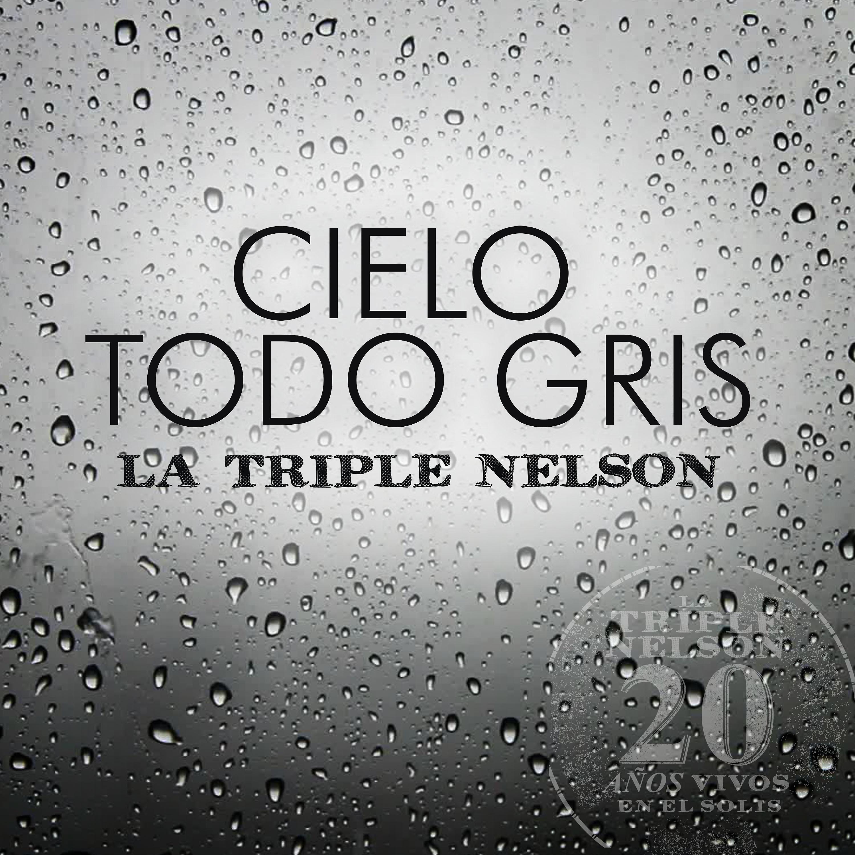 Постер альбома Cielo Todo Gris (En Vivo)