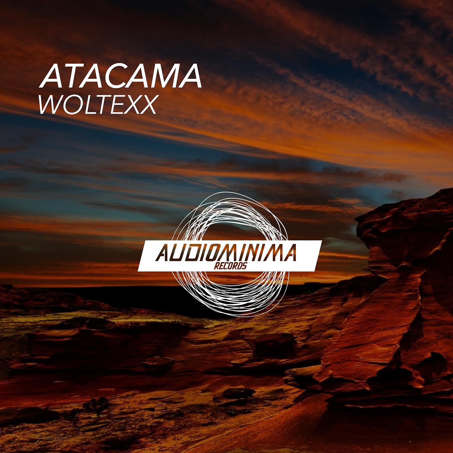 Постер альбома Atacama