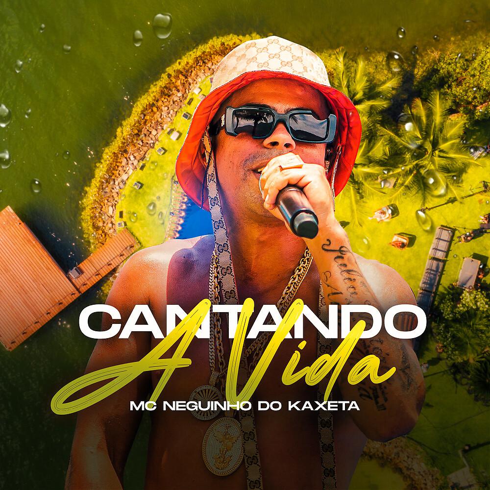 Постер альбома Cantando a Vida