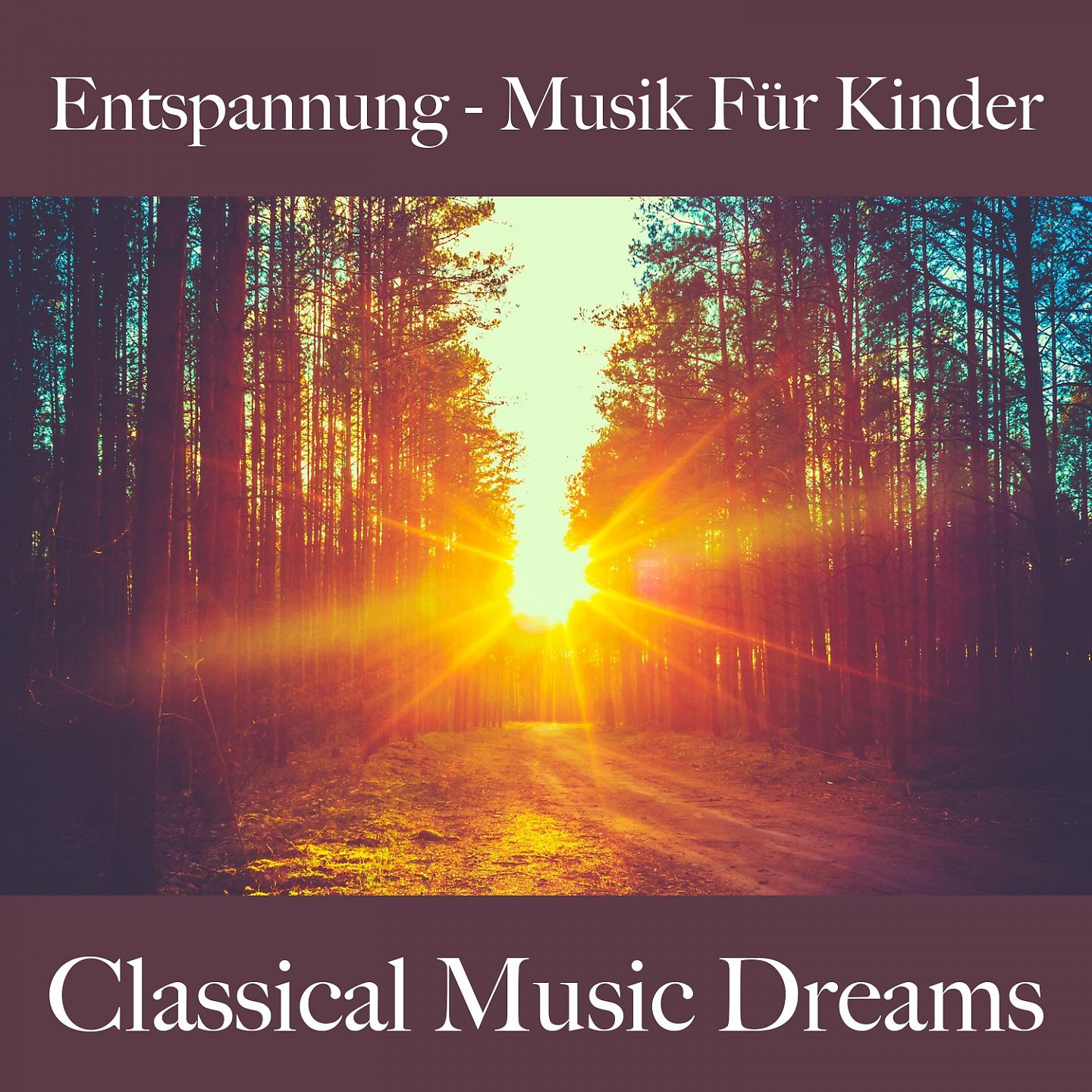 Постер альбома Entspannung - Musik Für Kinder: Classical Music Dreams - Die Beste Musik Zum Schlafen