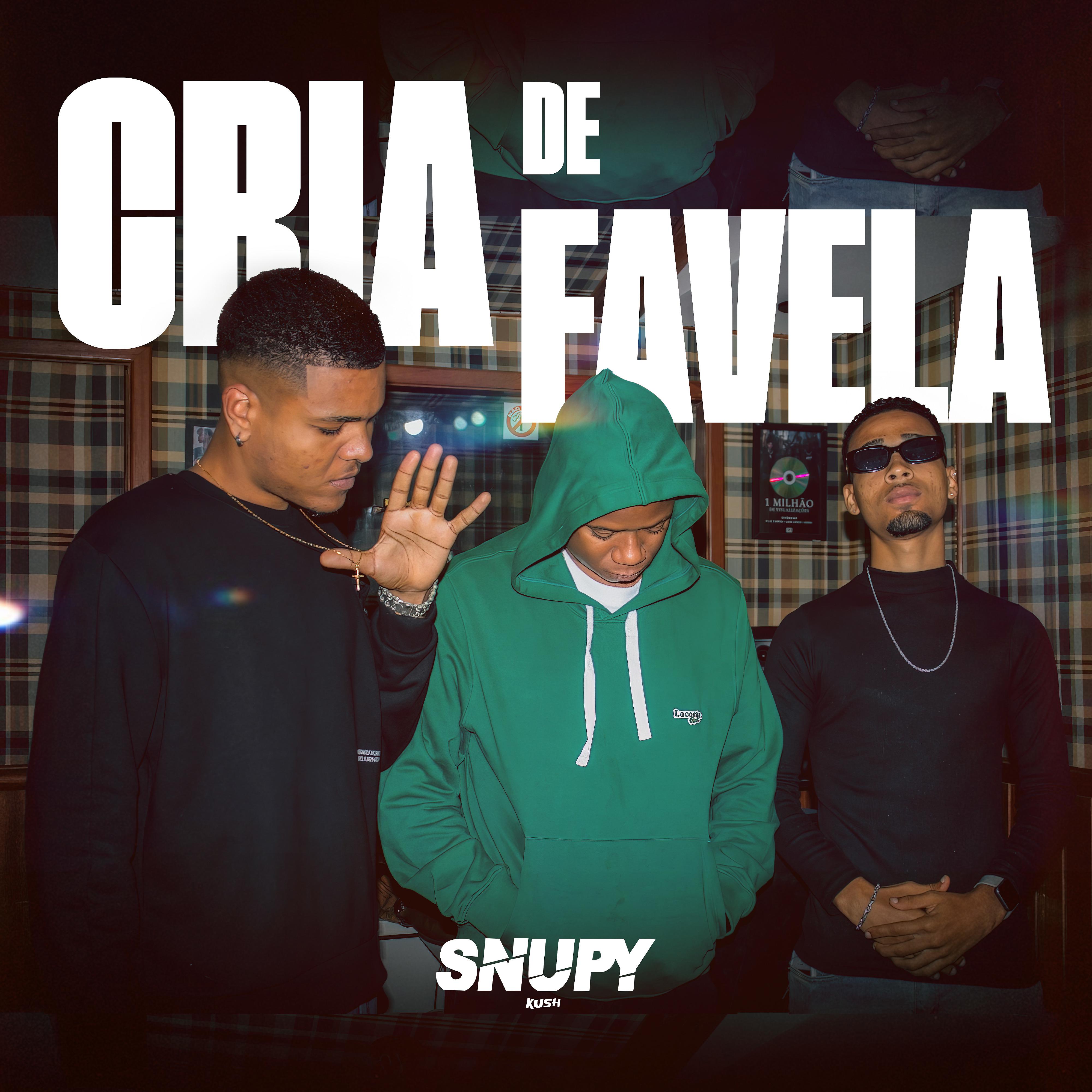 Постер альбома Cria de Favela