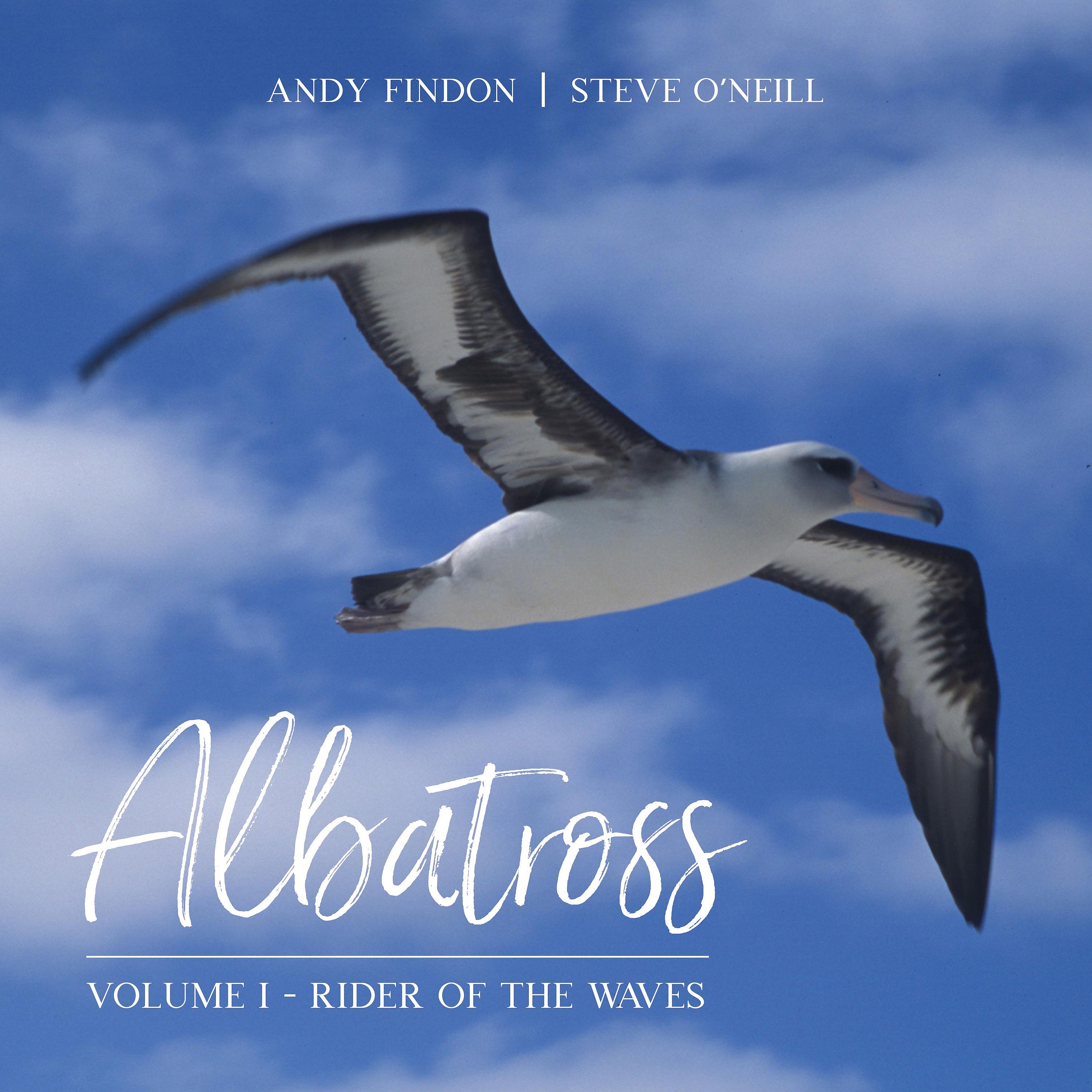 Постер альбома Albatross, Vol. 1: Rider of the Waves