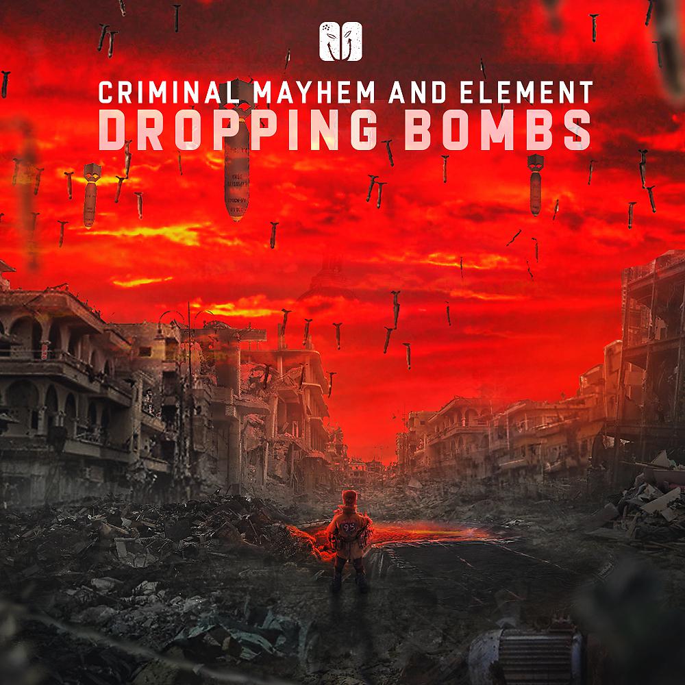 Постер альбома DROPPING BOMBS