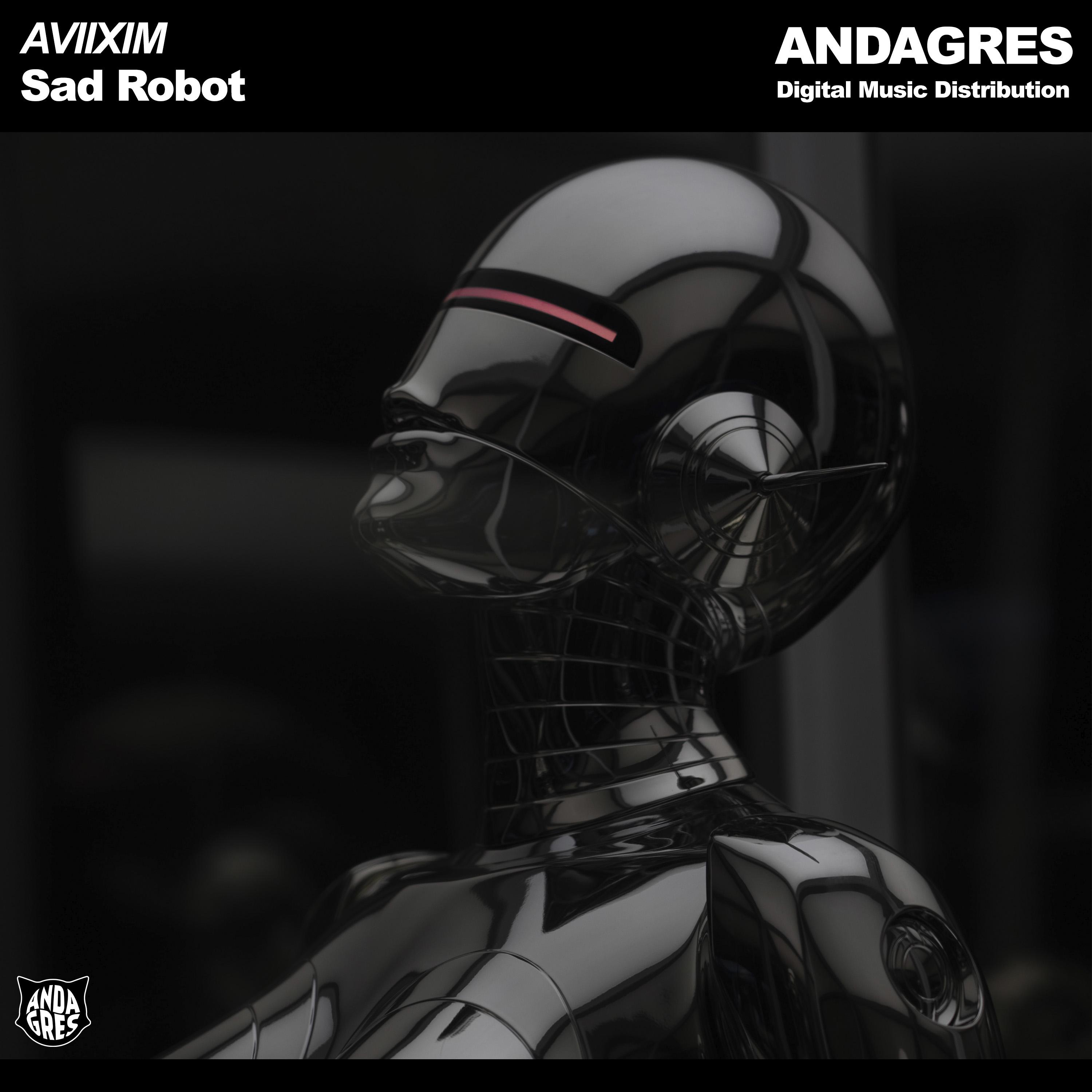 Постер альбома Sad Robot