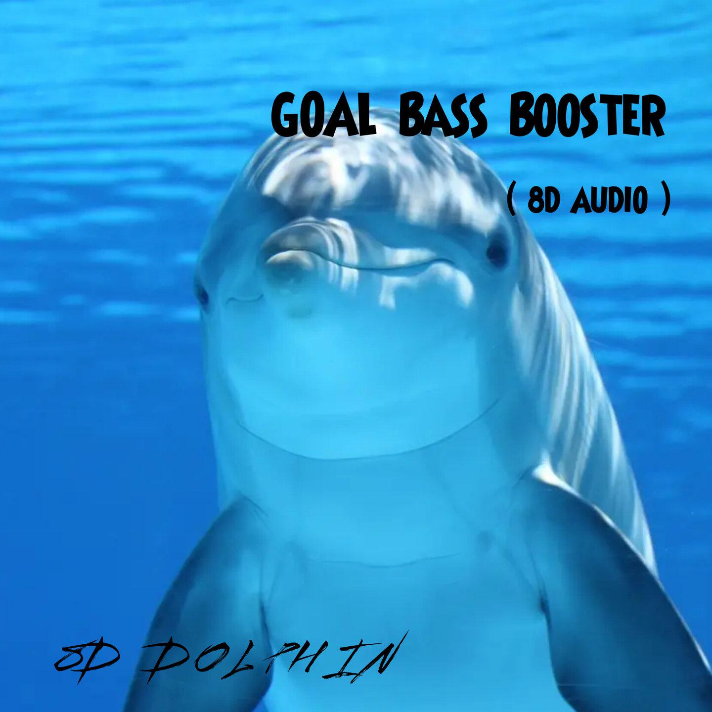 Постер альбома Goal Bass Booster