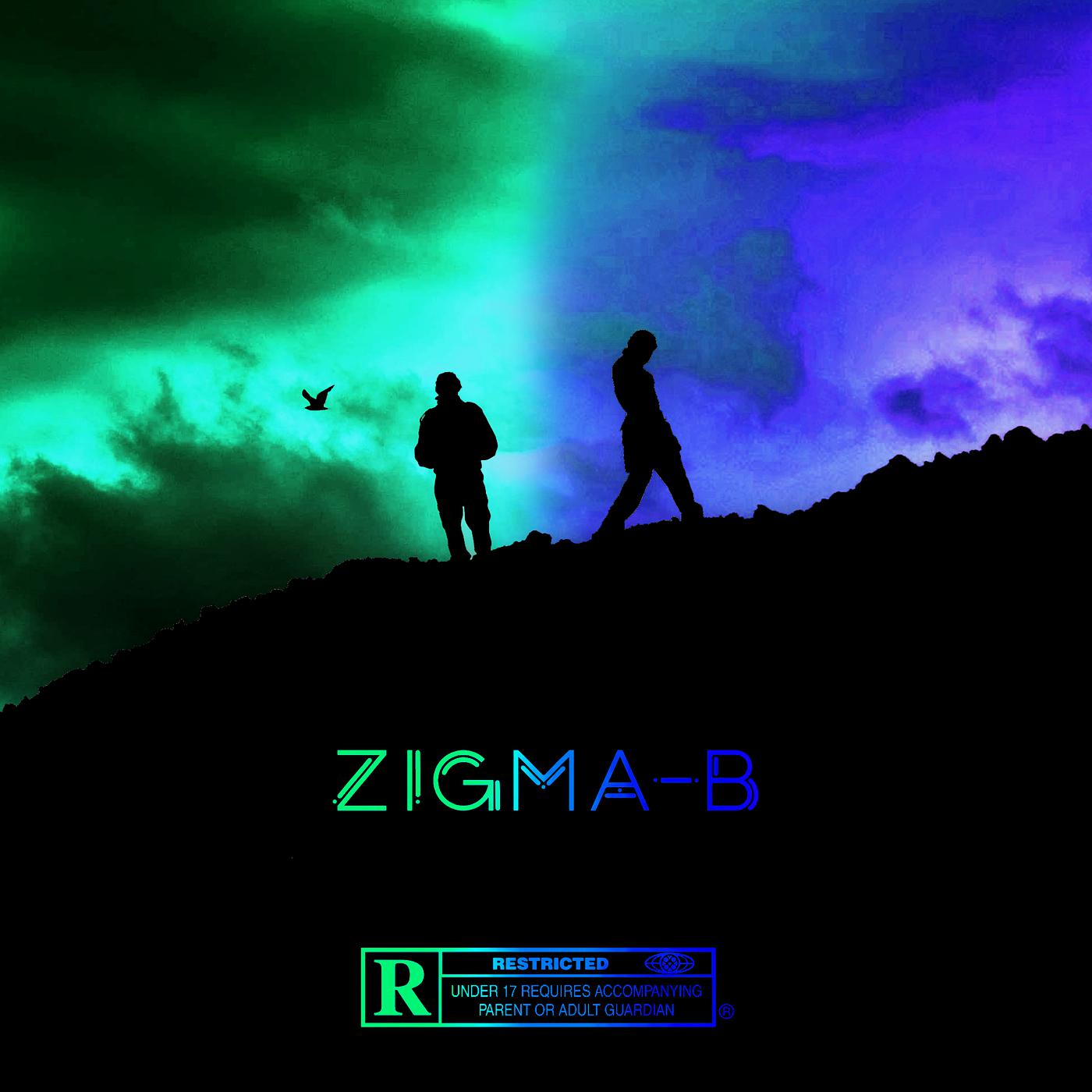 Постер альбома Zigma-B
