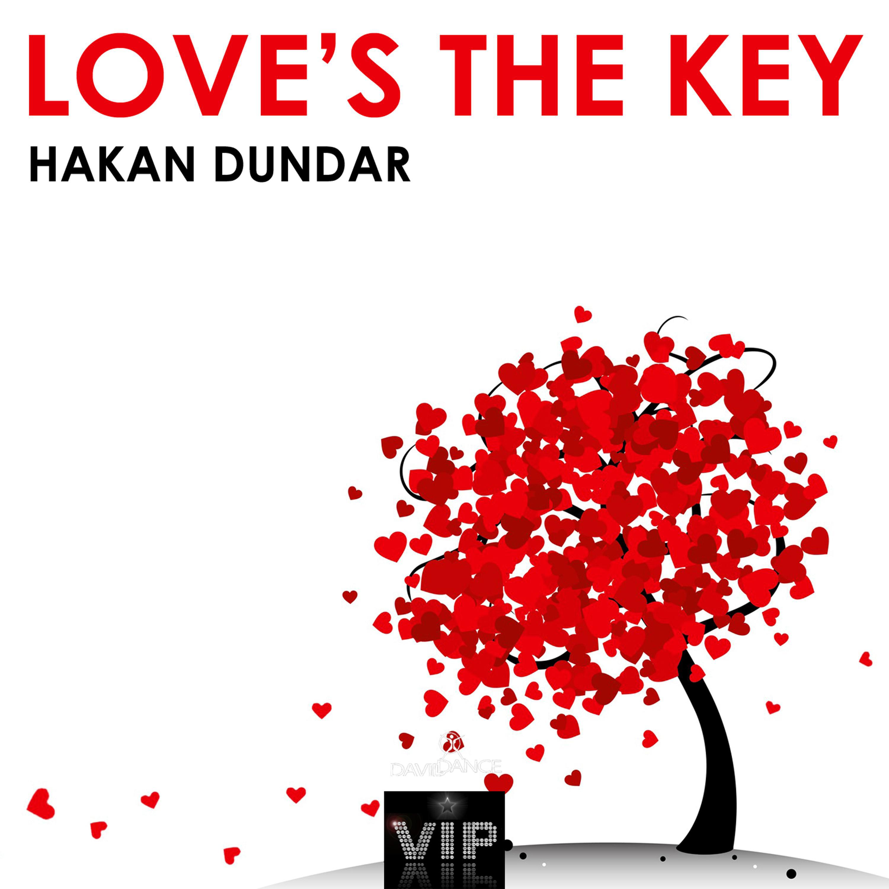 Постер альбома Love's The Key