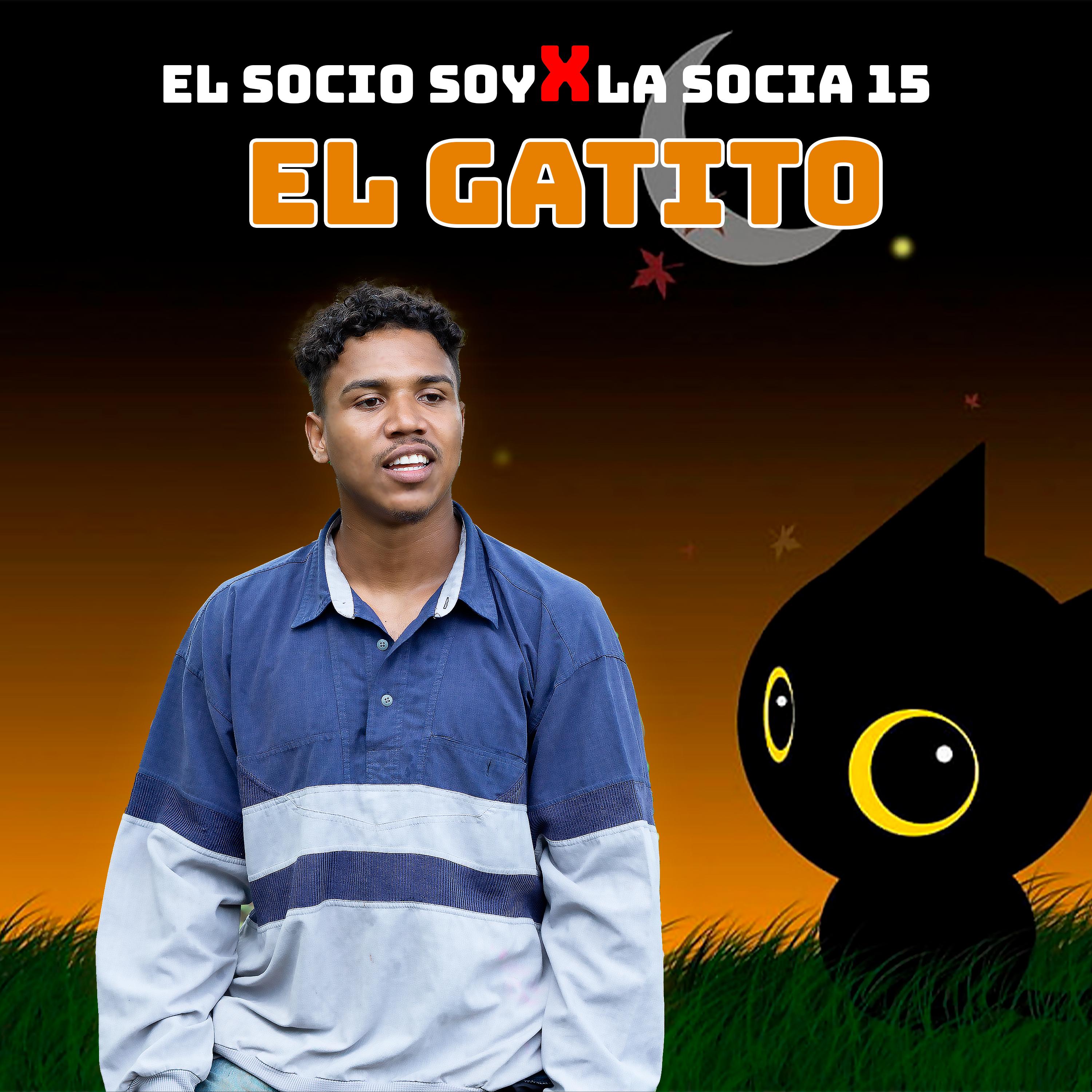 Постер альбома El Gatito