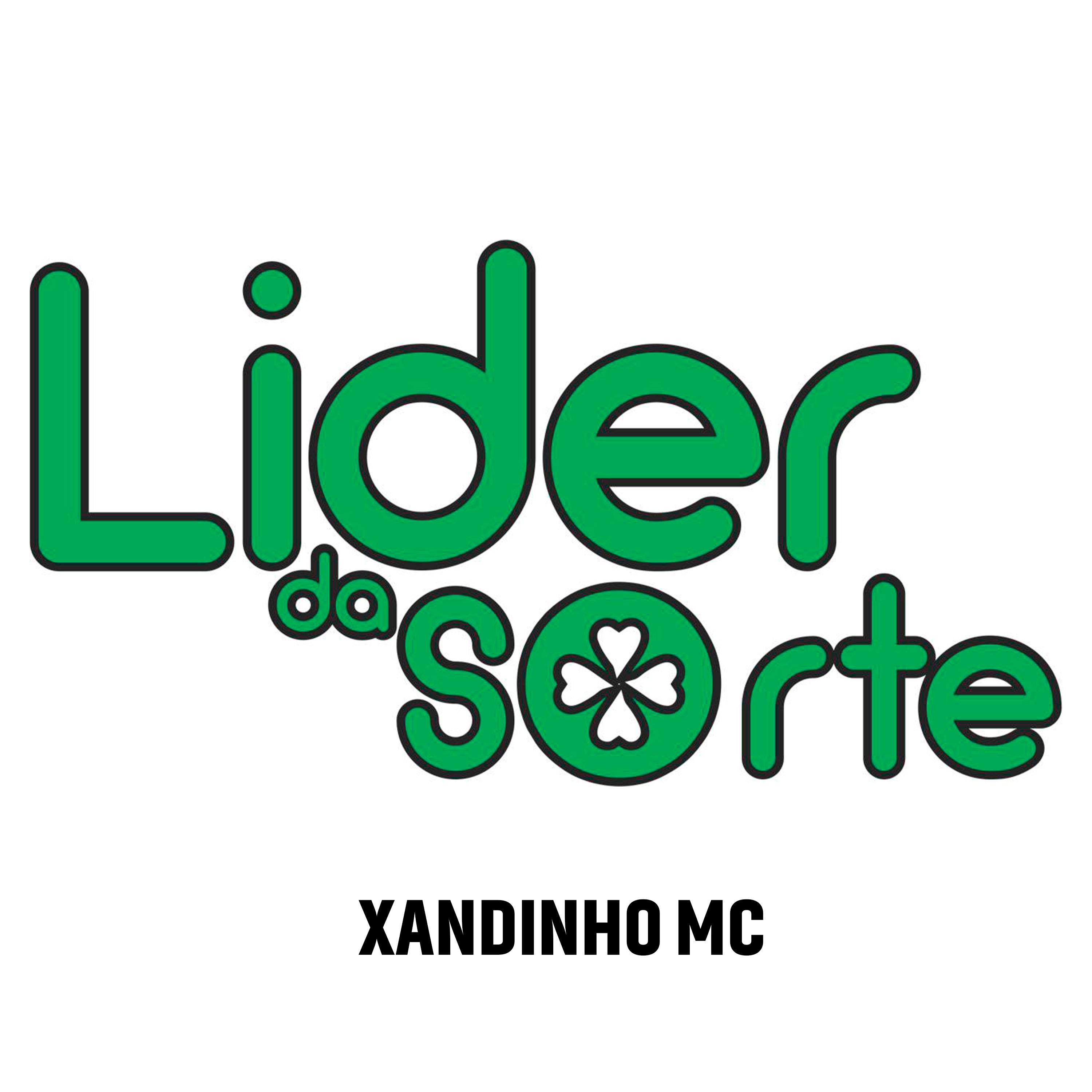 Постер альбома Lider da Sorte