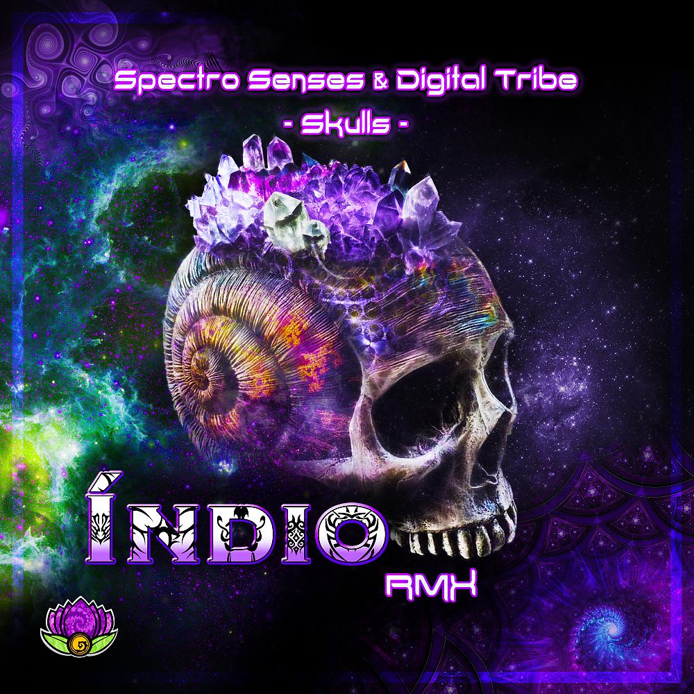 Постер альбома Spectro Senses & Digital Tribe - Skulls (Indio Rmx)