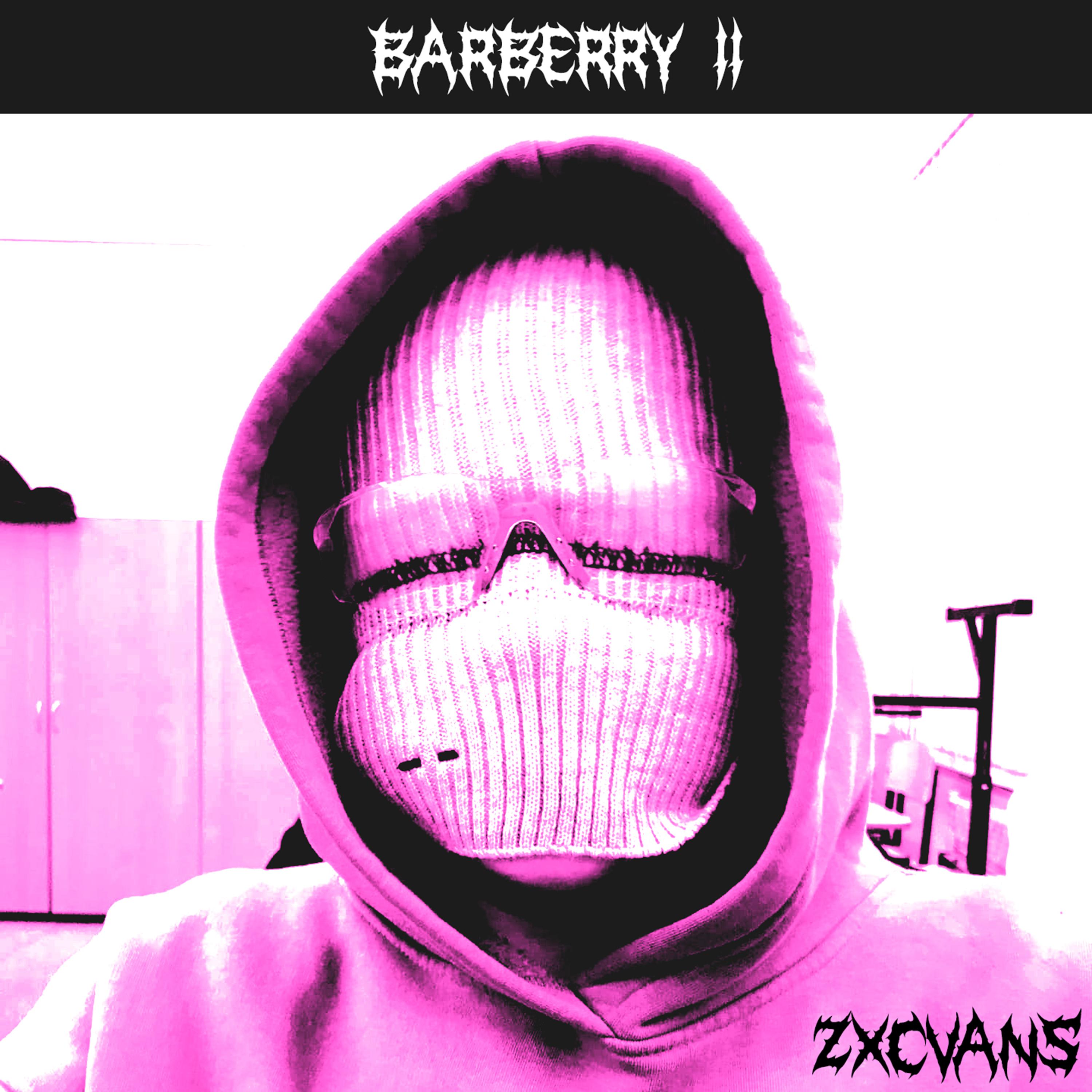 Постер альбома Barberry 2